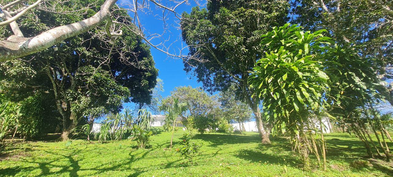 Lakeview Home 4BD 2BAw/ Lake Access, Development Potential & BMW  photo 12