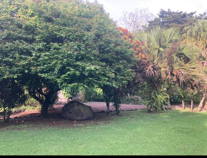 Commercial property: main house + 5 cabins + greenhouse + stable in Cinco Esquinas  photo 85