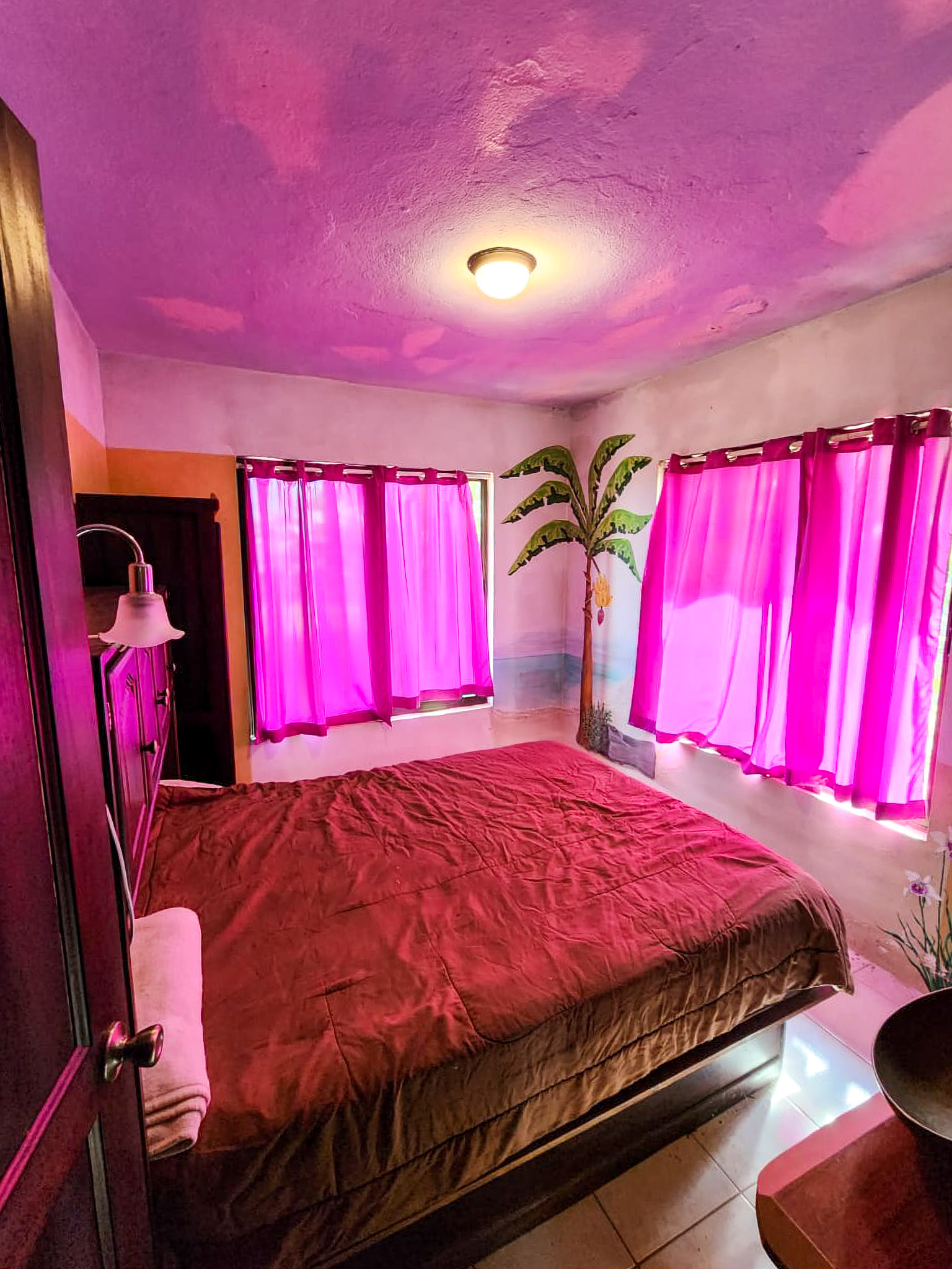 Lake view Residence 6 BD/5BA with Commercial Opportunity photo 13