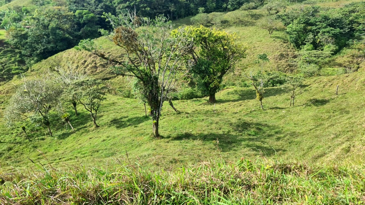 Amazing Opportunity, 2 Hectare, Lake View Parcel in Nuevo Arenal photo 8