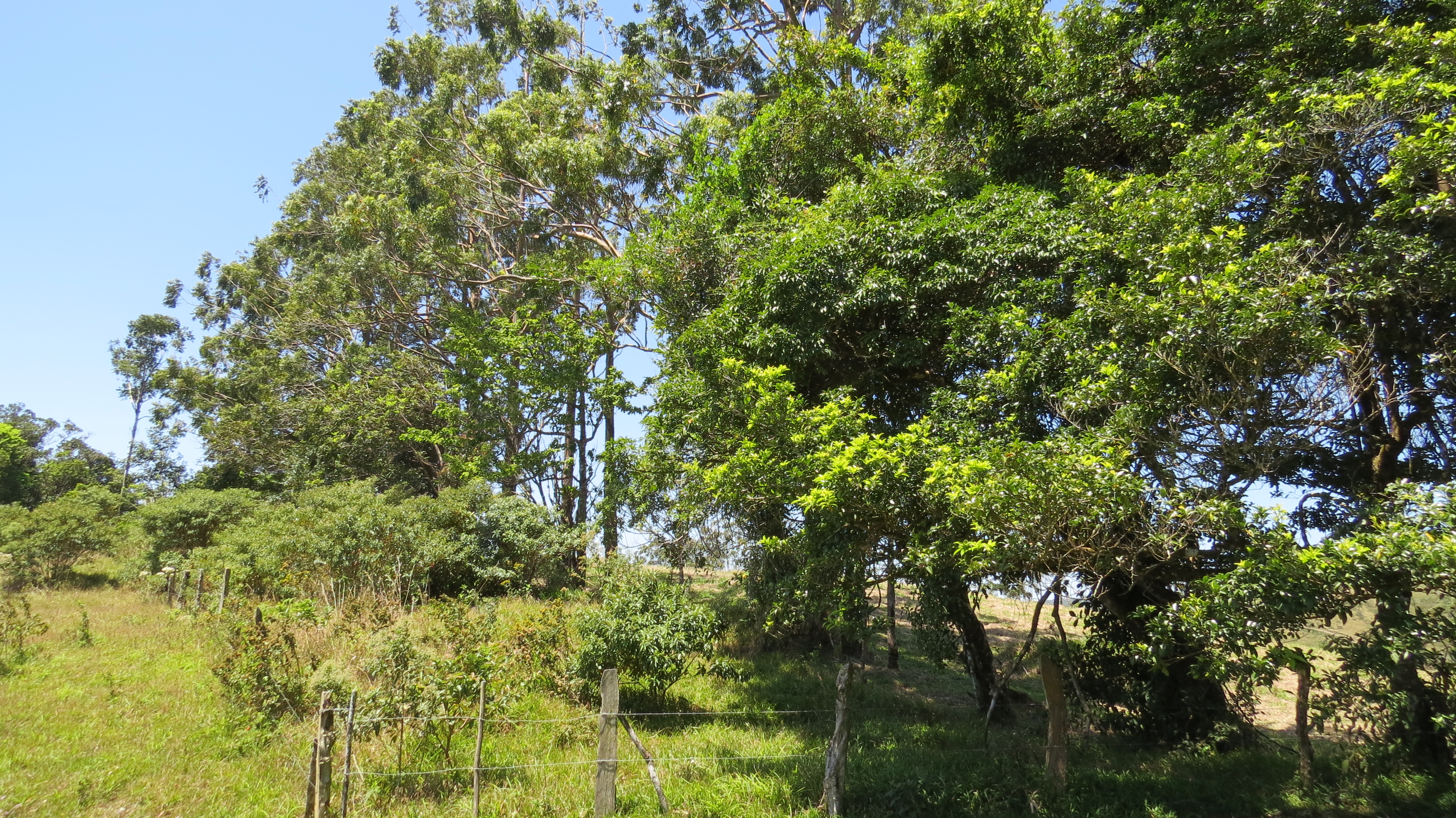 2.26 Acre Lot with Stunning Views Of Lake Arenal and Volcano in Nuevo Arenal  photo 24