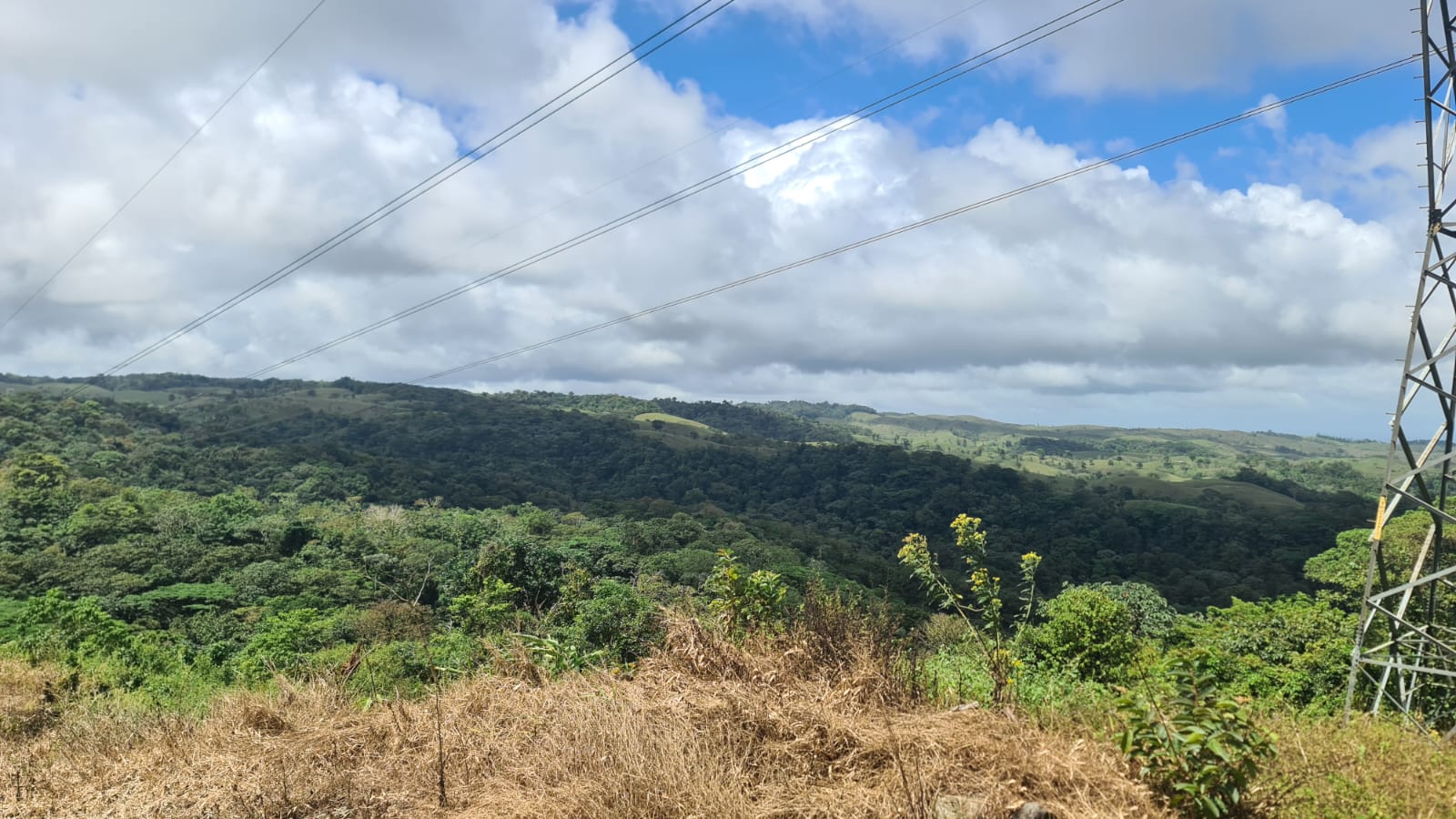 33 Hectare (81.5 acre) Property with Volcano Views in San Carlos, Alajuela photo 24