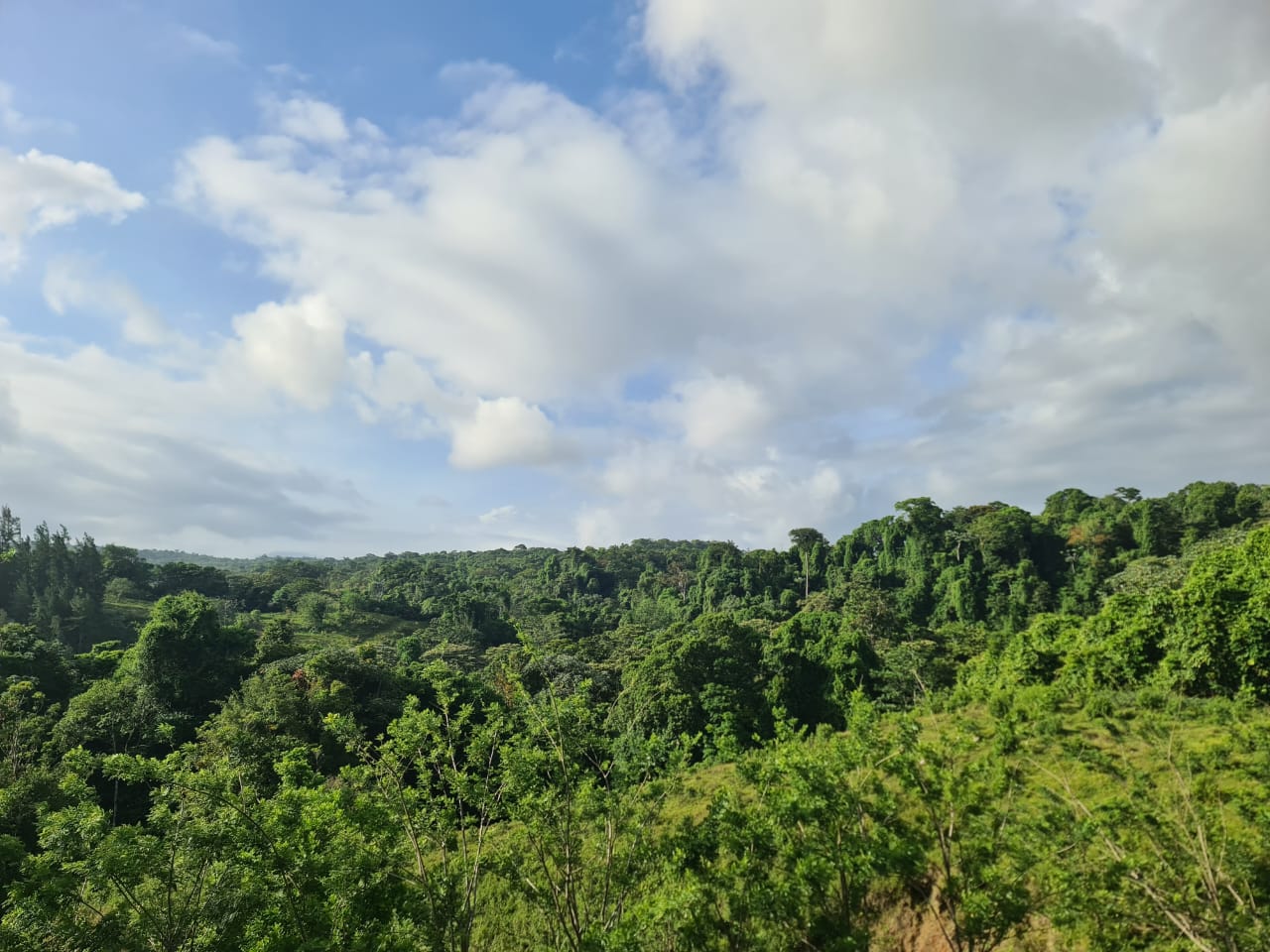 16-Hectare Farm with a Private Well and Views of Lake Arenal in Nuevo Arenal photo 31