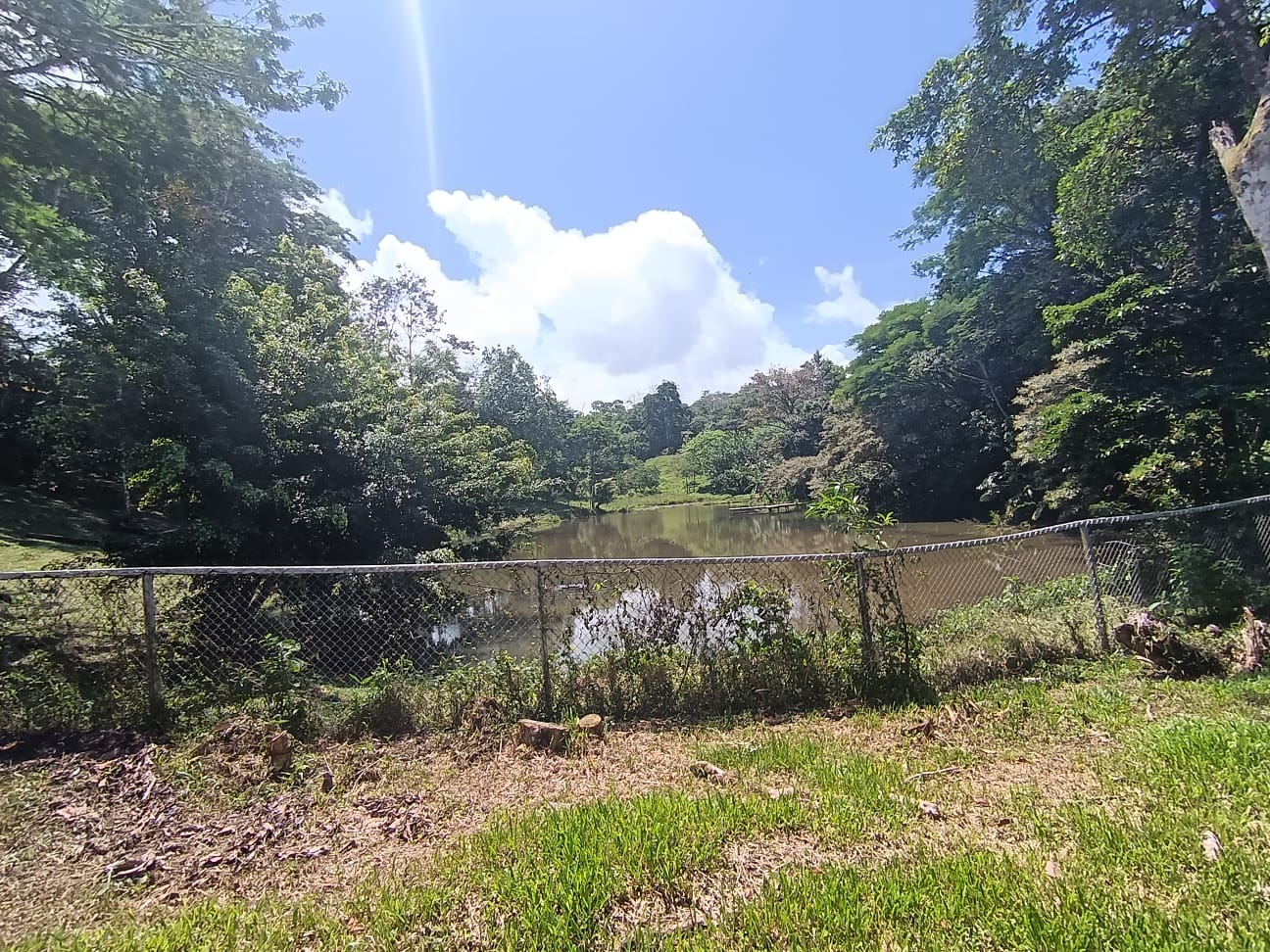 Beautiful Home 2BD 1BA in a 19424.9 m2 (4.8 Acre) Lot w/ Private Spring  photo 20