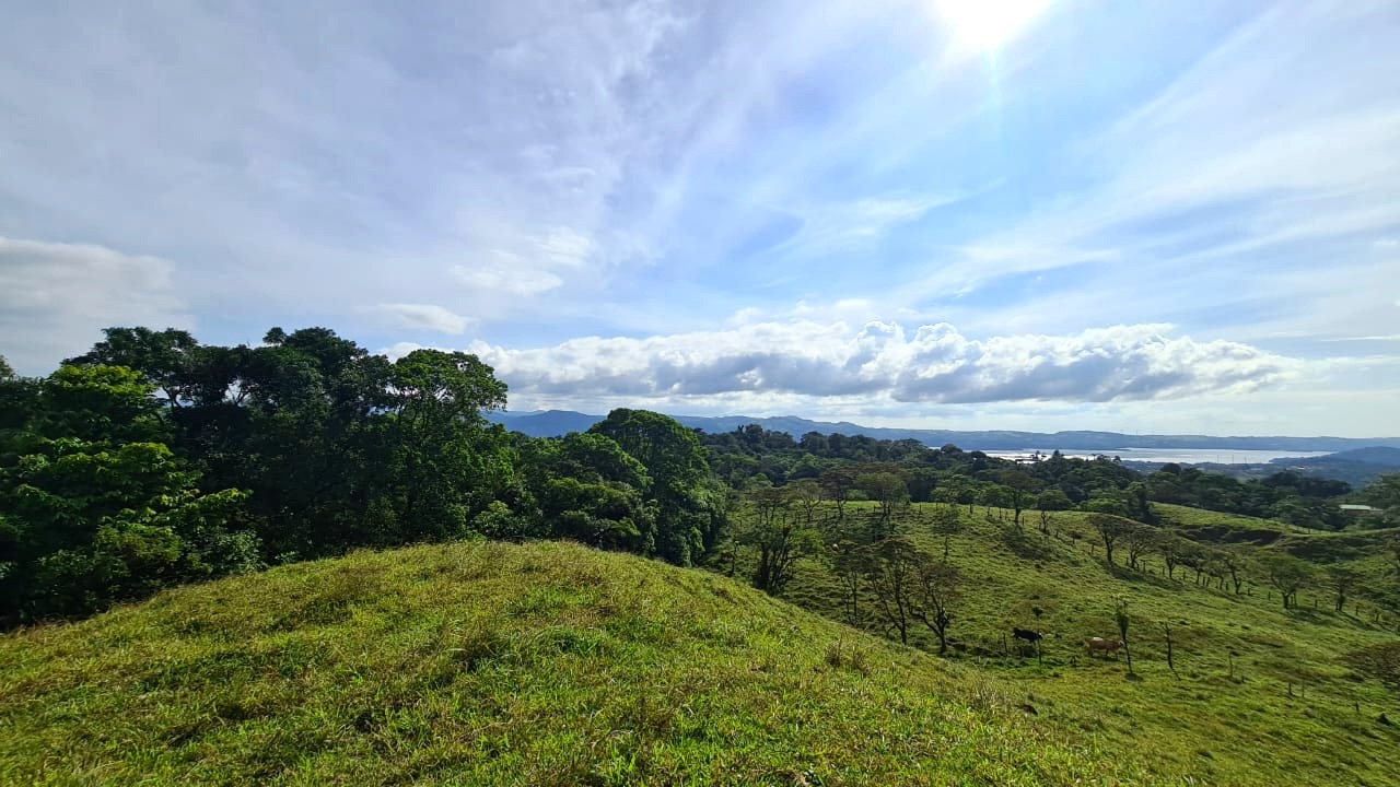 Amazing Opportunity, 2 Hectare, Lake View Parcel in Nuevo Arenal photo 10