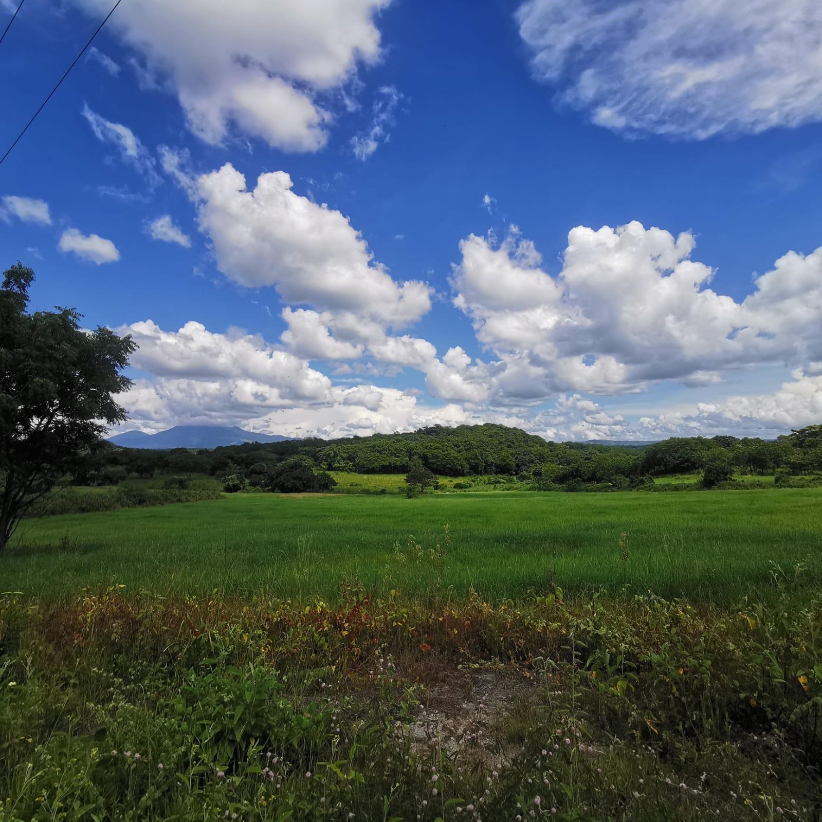 450-Hectare Estate w/ Nature Reserve, Three Homes & Rivers in Guanacaste photo 48