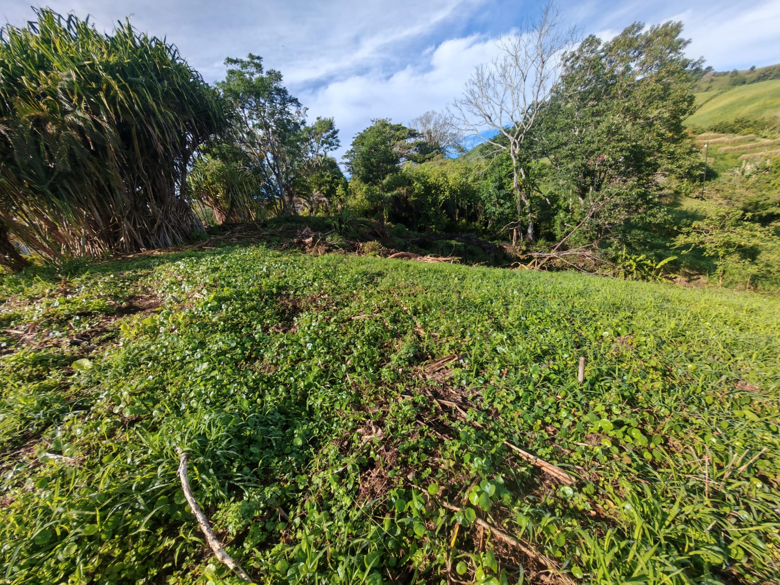 Lake & Volcano View Lot 5505 M2 (1.36 Acre) In Vistas del Lago photo 6