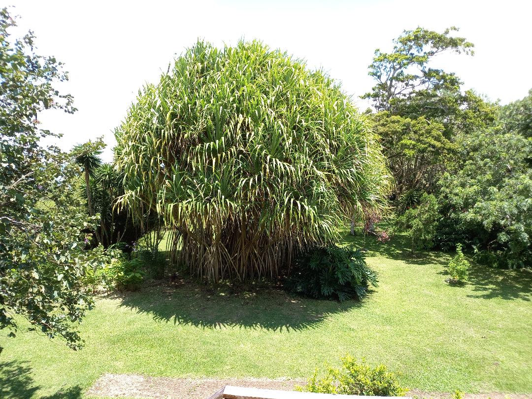 Tranquility Defined – Stunning Home with Lake & Volcano Views on 8.2 Acres photo 44