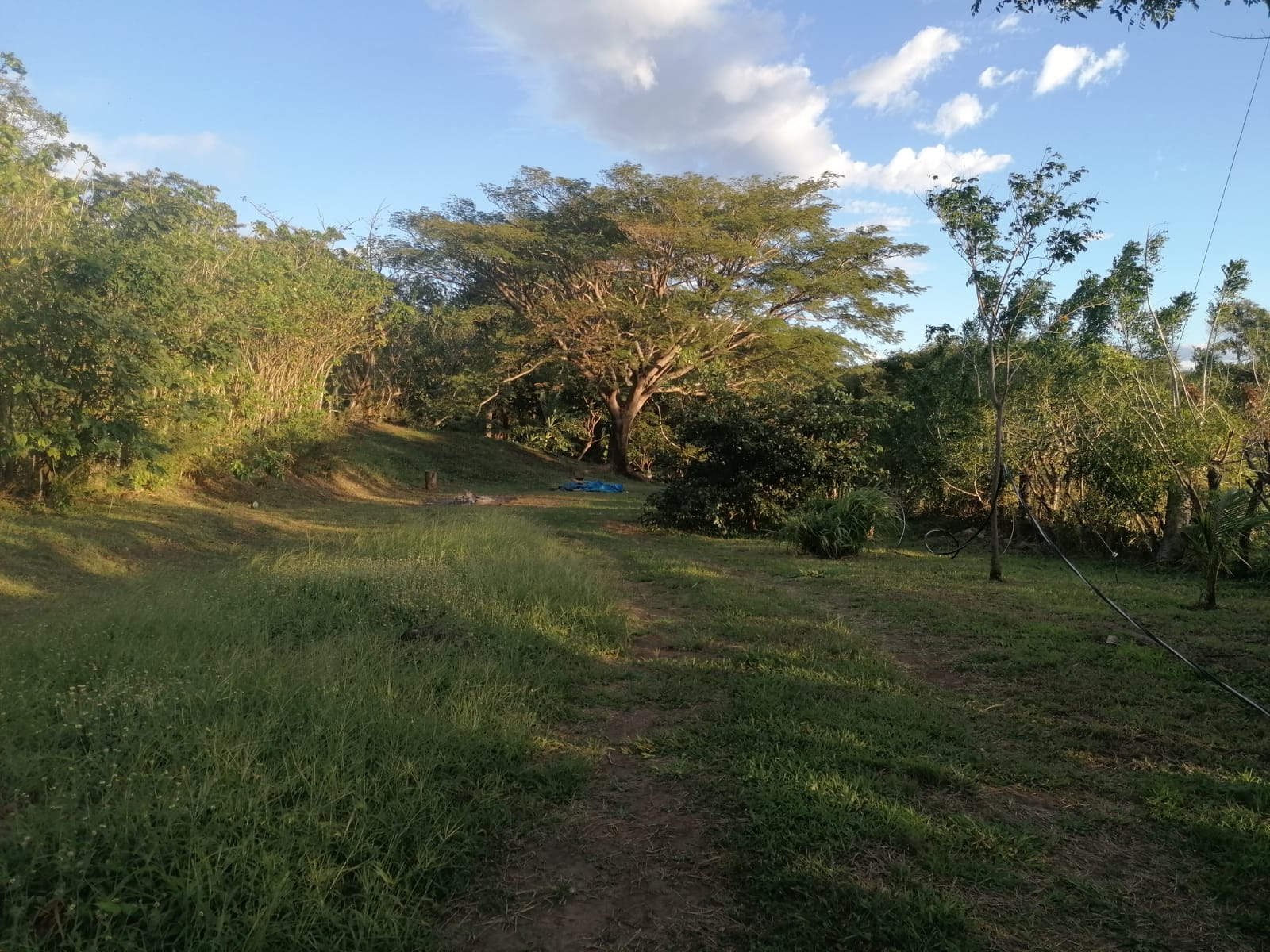 Nature Lover: 5,121 m2 Lot with Mountain Views and Lush Fruit Orchard photo 8