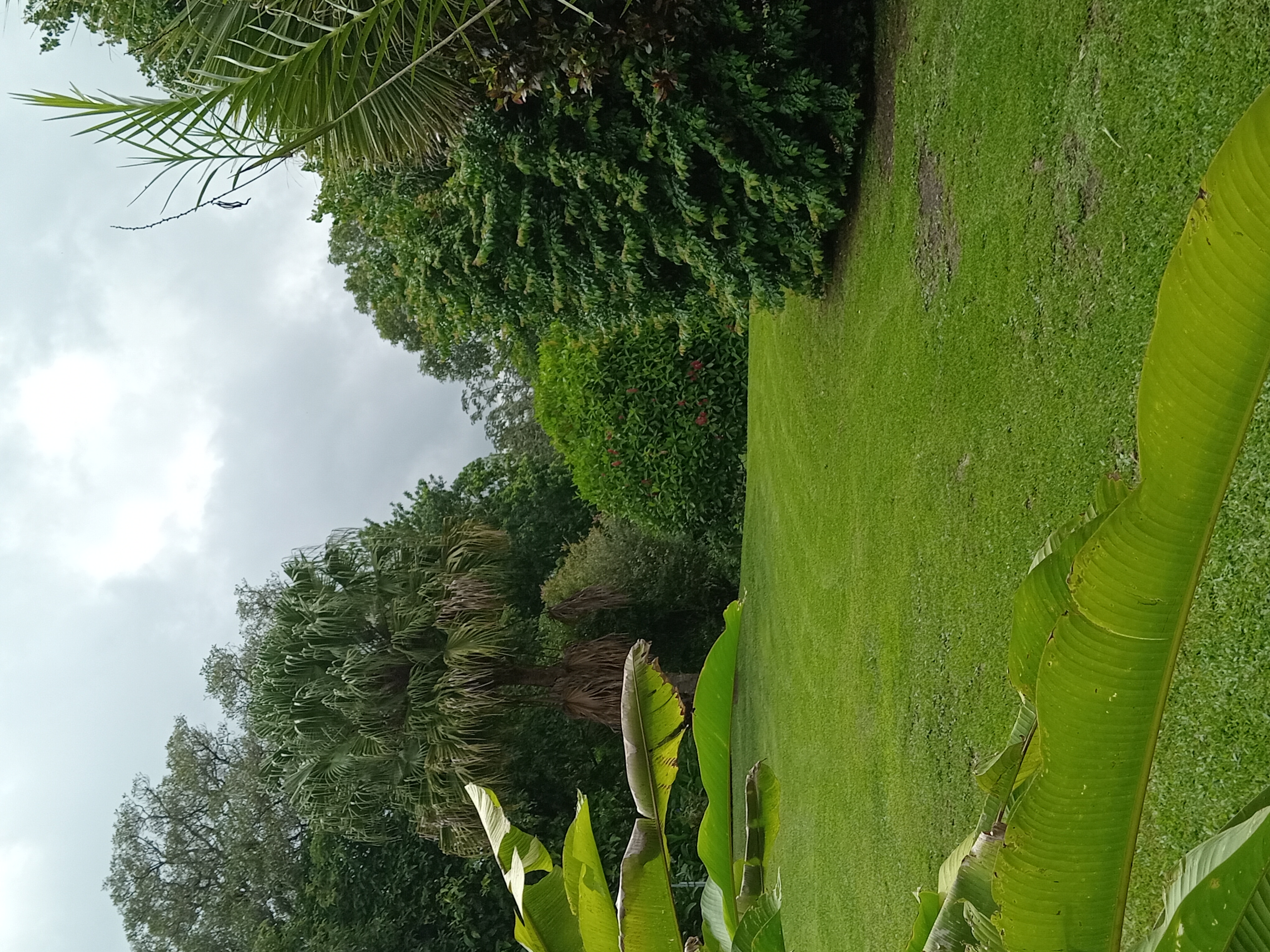 Commercial property: main house + 5 cabins + greenhouse + stable in Cinco Esquinas  photo 81