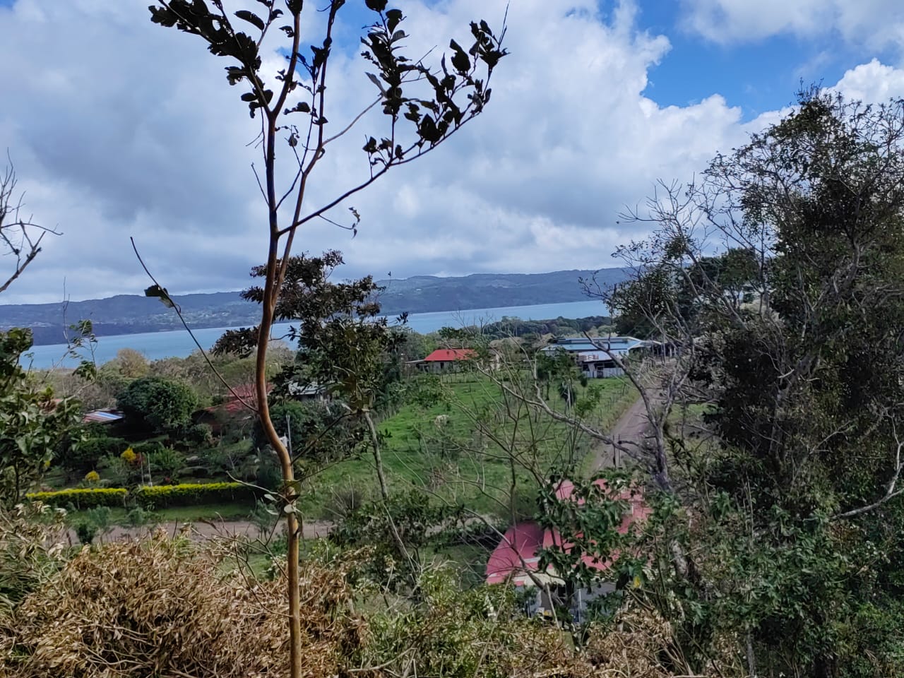 Beautiful 2932 m2 lot with Lake Arenal View in Tronadora  photo 9