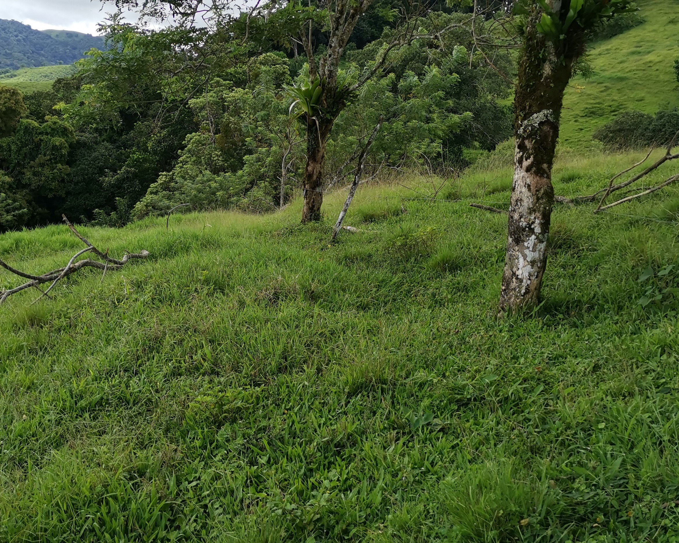 Magnificent 24,811m2 Lake and Volcano View Parcel with Huge Views in Tronadora photo 16