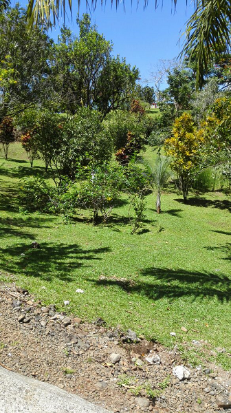 Beautiful 5 Bedroom 3 Bathroom Home Estate on 66 acres In Guatuso photo 21