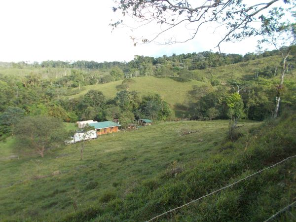 168 acres (68 hectares) of natural peace and tranquility with four cabins photo 19