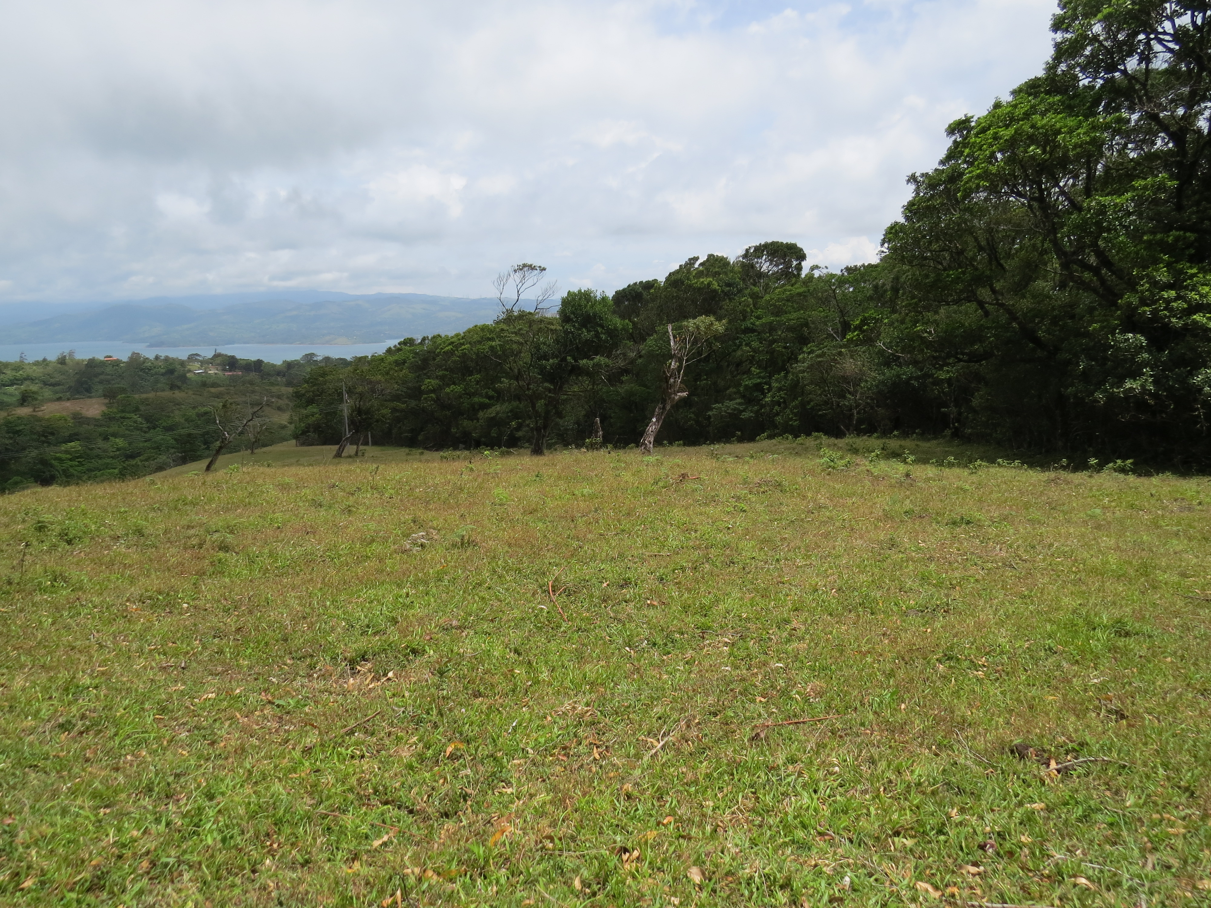 2.26 Acre Lot with Stunning Views Of Lake Arenal and Volcano in Nuevo Arenal  photo 30