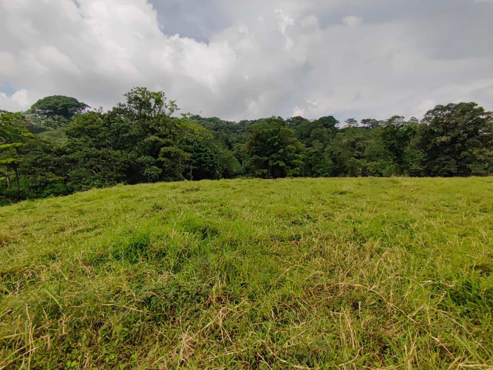 Finca La Tortuga – A Developer’s Dream! Lake Arenal View 5.7 Hectare Farm photo 9