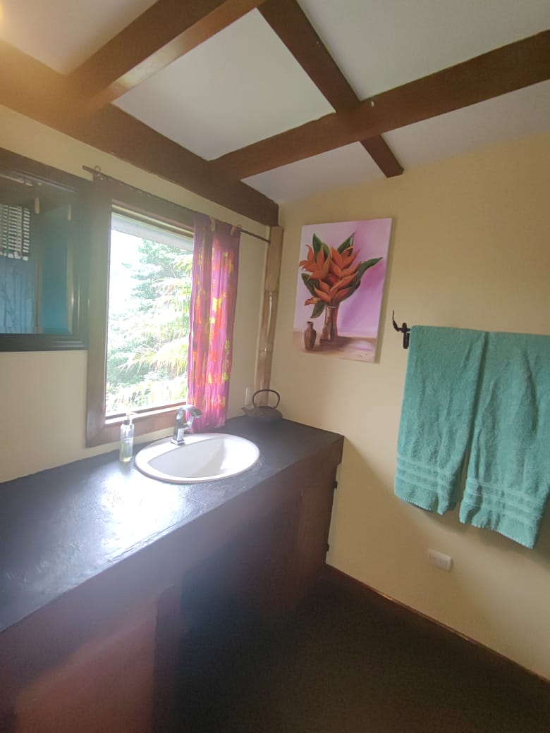 Boutique Hotel and Restaurant Between La Fortuna and Nuevo Arenal photo 54