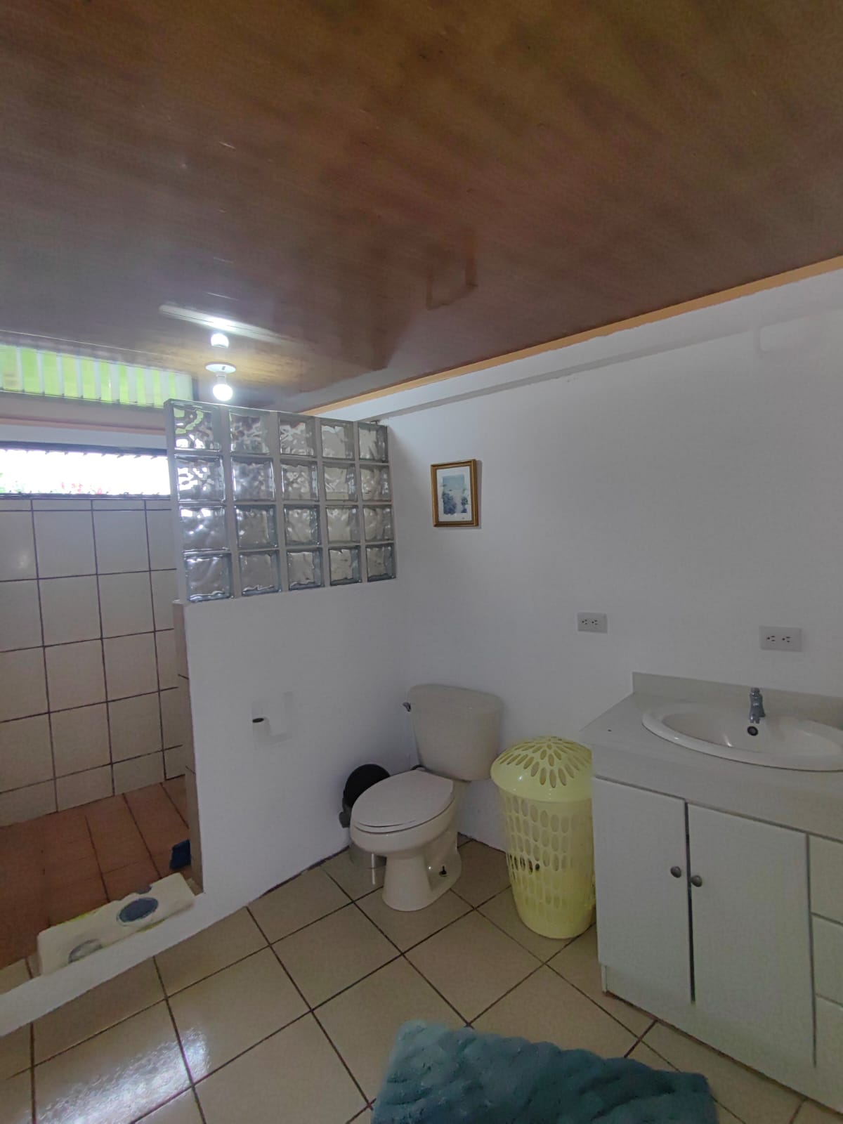 Sprawling, 2 BD/2 BA Home+Office+Apt+Stables+Green House in Tronadora photo 34