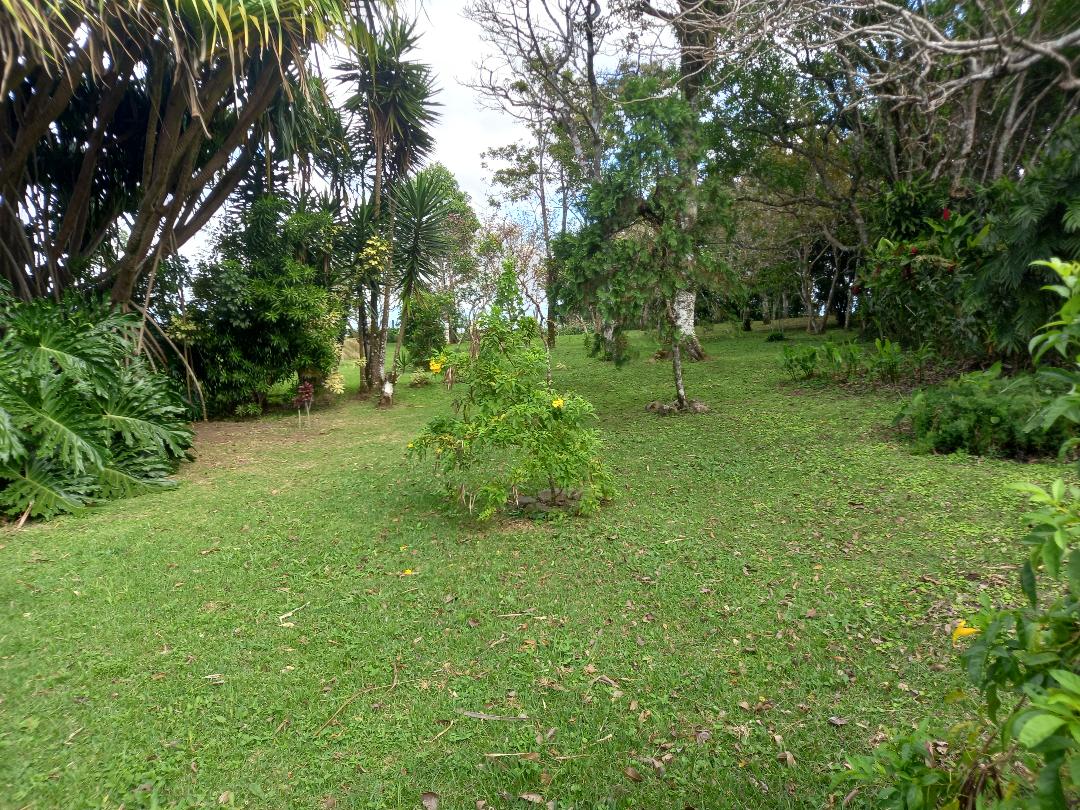 Tranquility Defined – Stunning Home with Lake & Volcano Views on 8.2 Acres photo 49