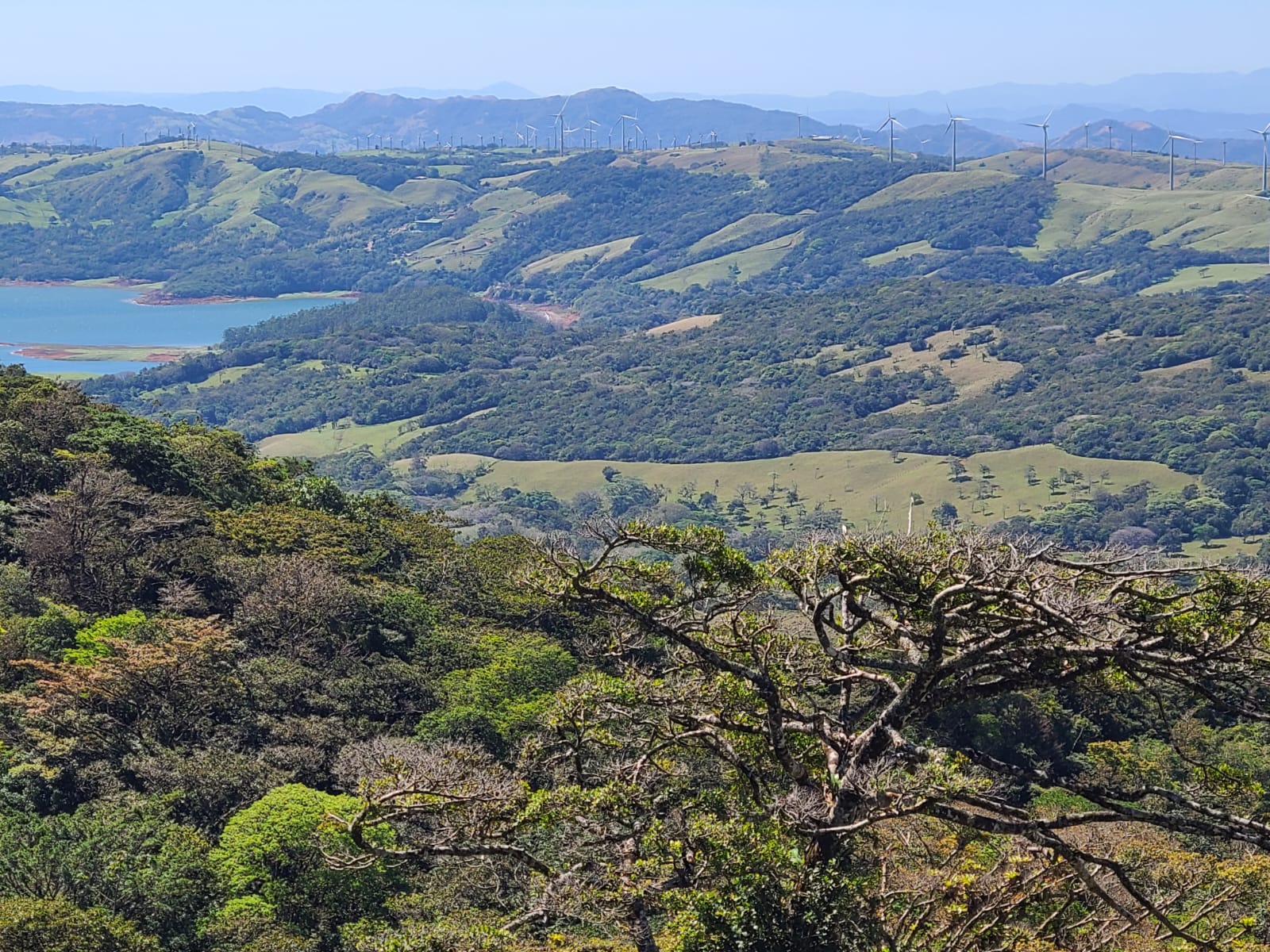 Spectacular 41,700 Sqm Property with Breathtaking Views in Río Piedras photo 6