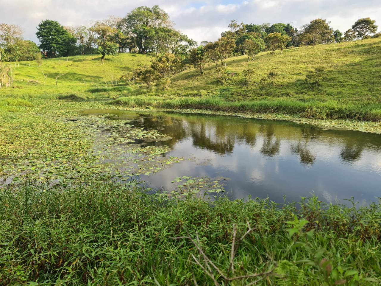 16-Hectare Farm with a Private Well and Views of Lake Arenal in Nuevo Arenal photo 7
