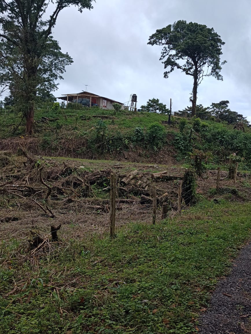 33 Hectare (81.5 acre) Property with Volcano Views in San Carlos, Alajuela photo 8