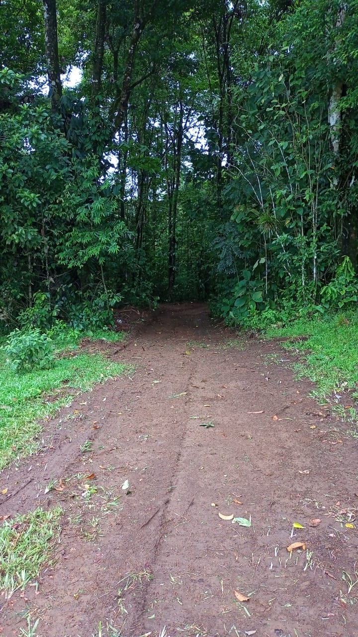 Gorgeous 50,372 m2 (12,4 acre) Farm In Cabanga, Guatuso photo 27