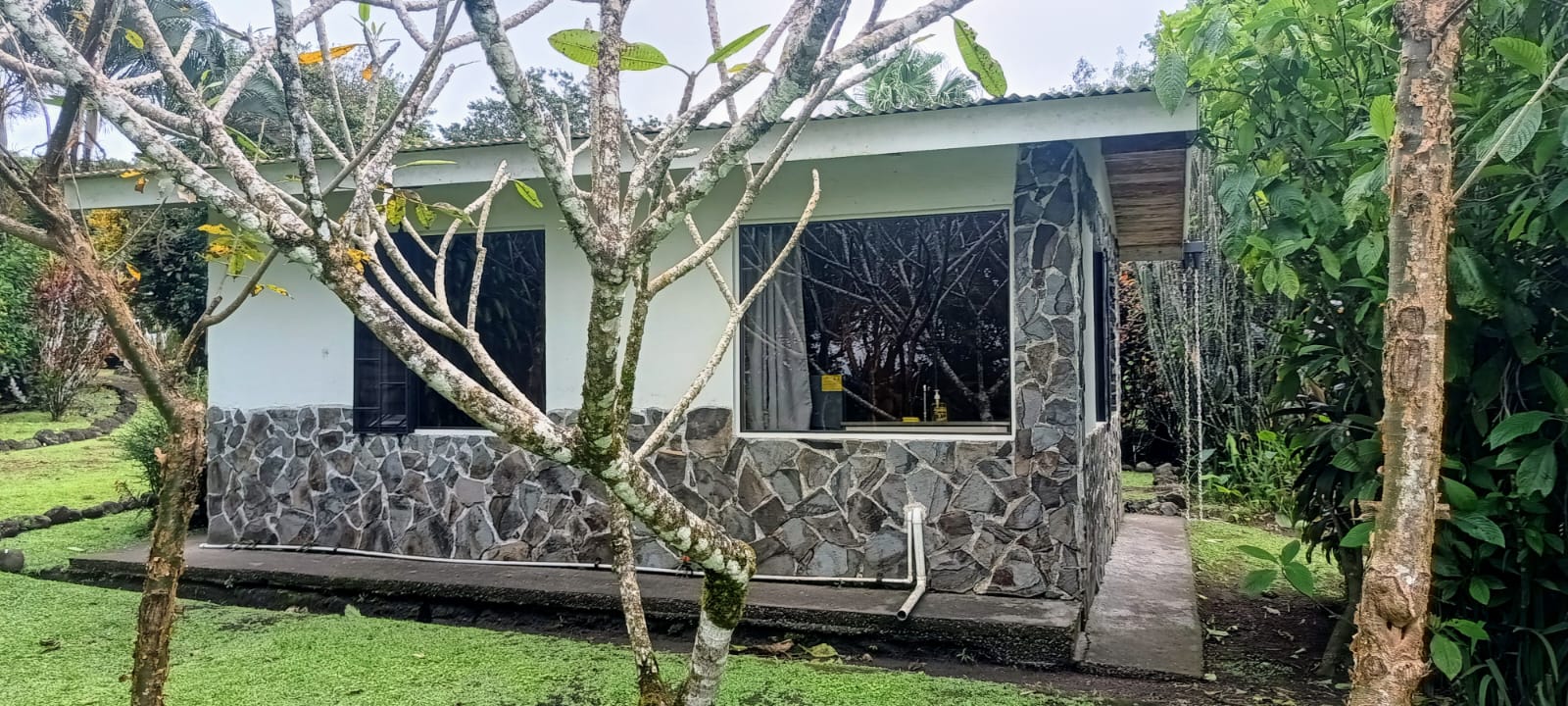 Commercial property: main house + 5 cabins + greenhouse + stable in Cinco Esquinas  photo 48