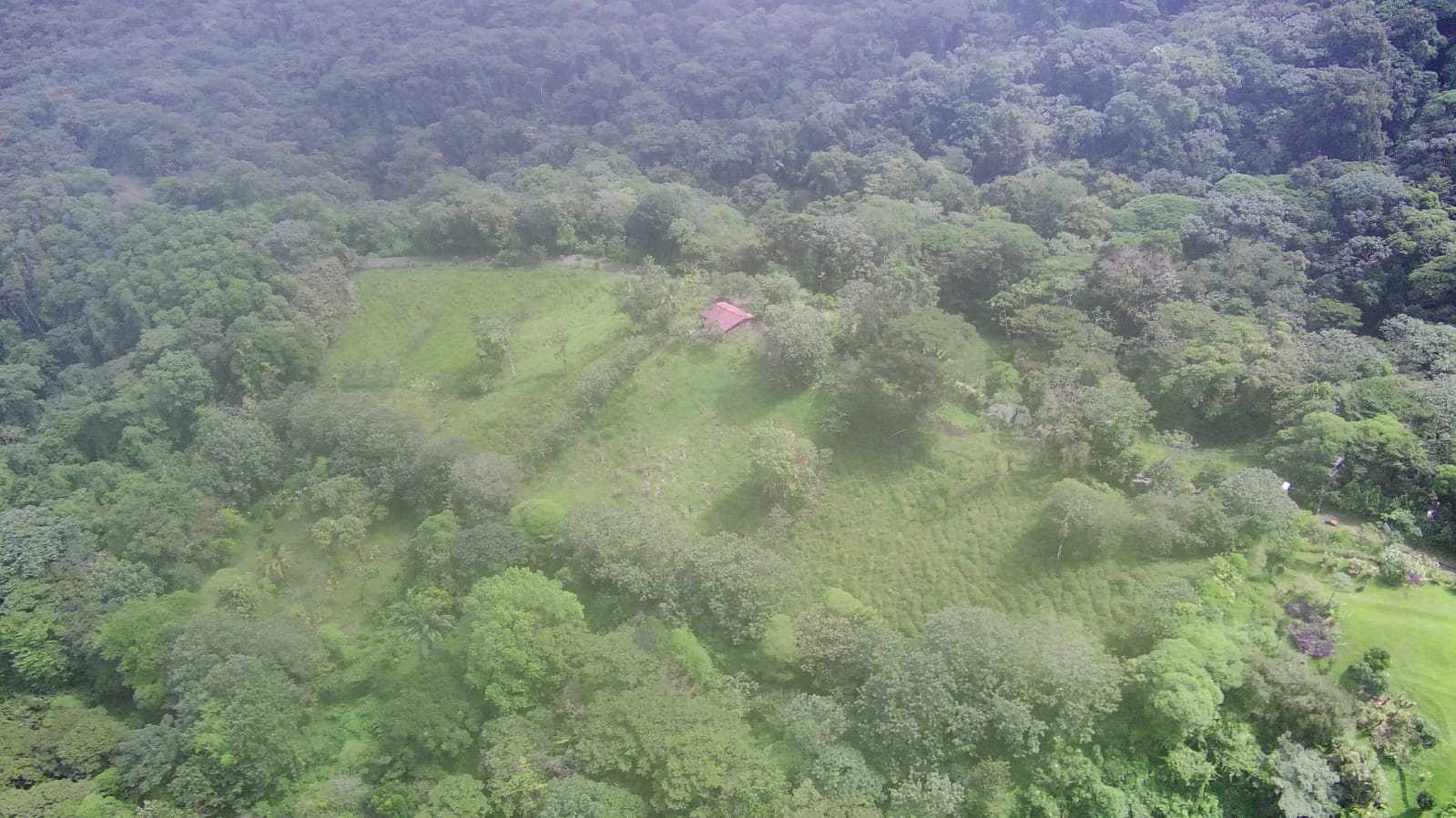 Exceptional Lake and Volcano View Property in El Castillo, San Carlos  photo 18