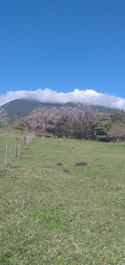 10,000 M2 (2.47 Acre) Lot with Volcano View in Nueva Guatemala photo 15