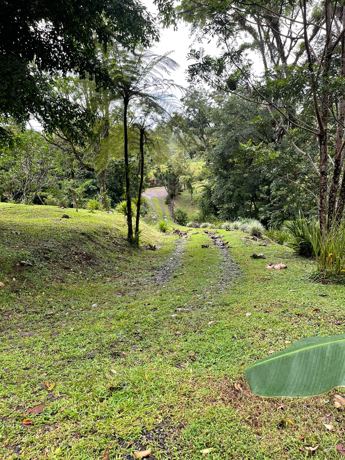 Charming 132 m² Home on 5,000 m² Lot w/ Creek in a Gated Community photo 27