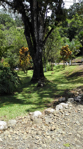 Beautiful 5 Bedroom 3 Bathroom Home Estate on 66 acres In Guatuso photo 12