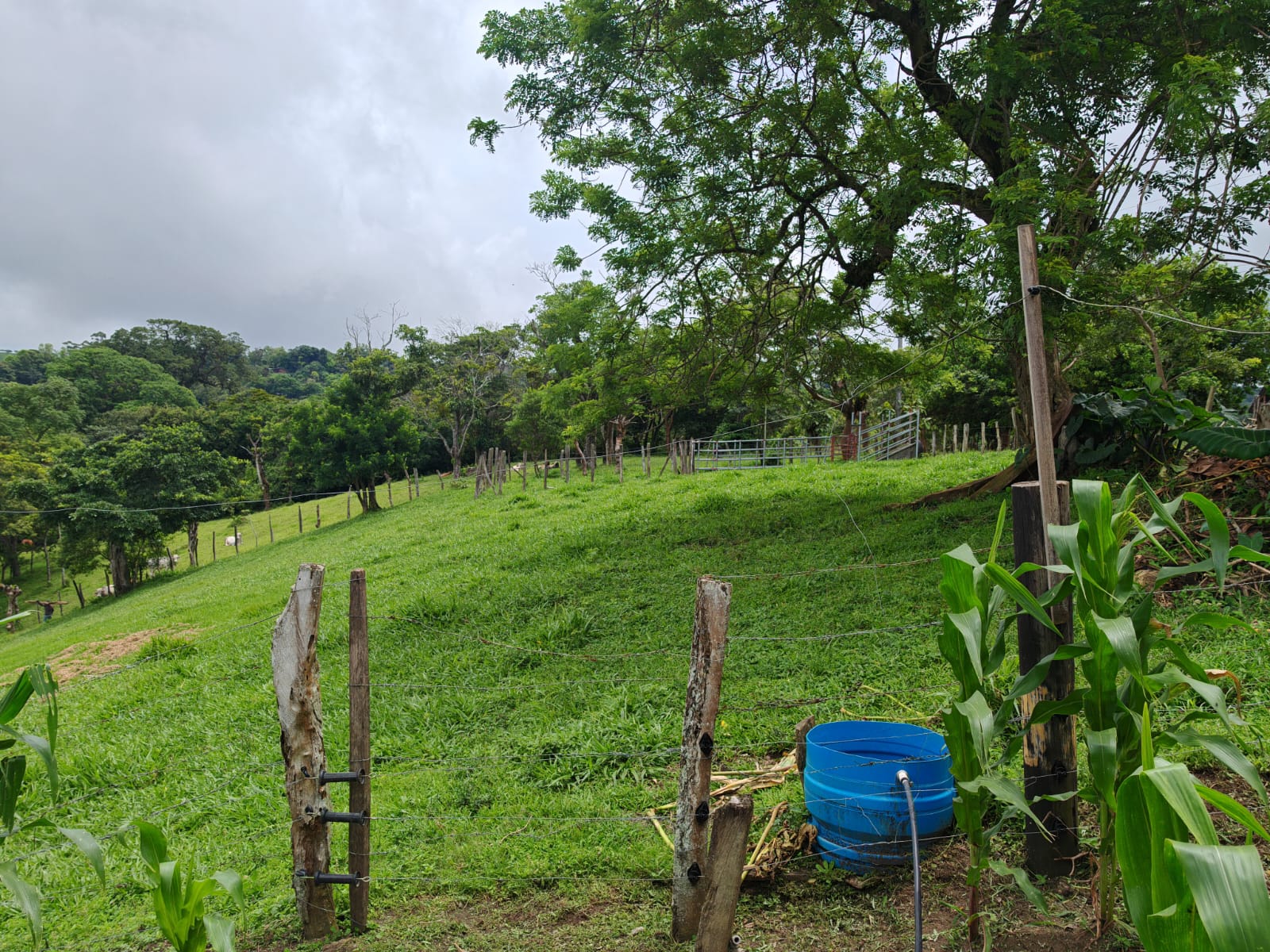 Beautiful 3-bedroom, 2-bathroom Home on a Sprawling 26,313 m² (6.5 Acres) lot  photo 22