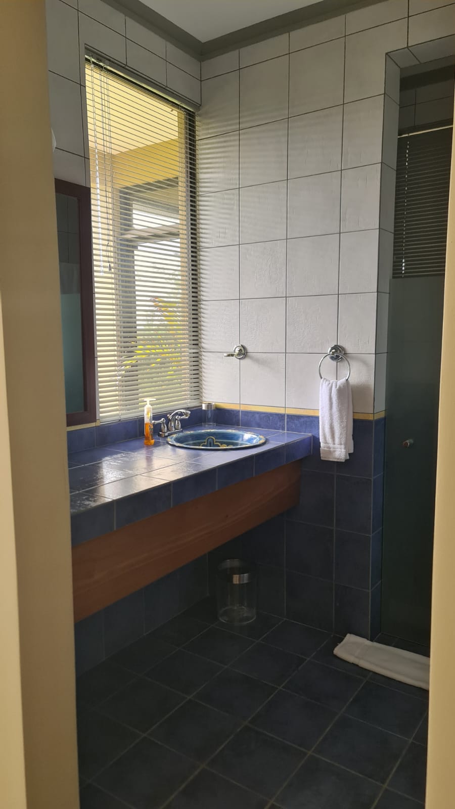 Furnished 3BR, 2BA Lake View Home w/ Utilities in Gated Community photo 23