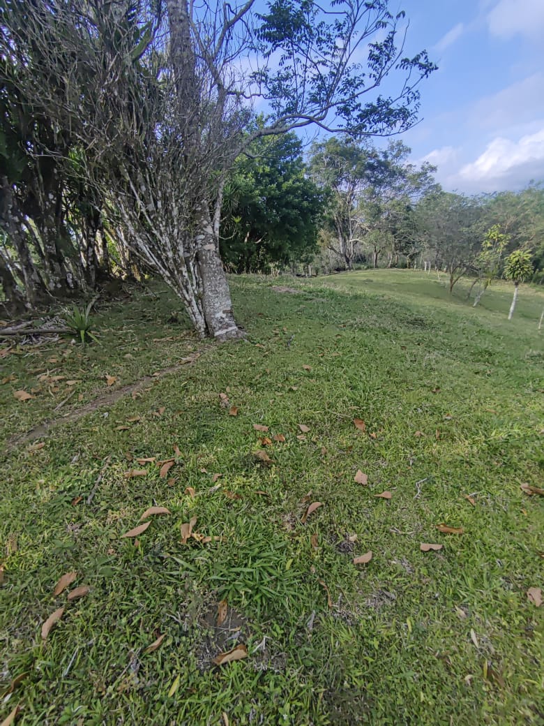 Beautiful Lot of 5461 m2 (1,34 Acre) in downtown Tronadora photo 6