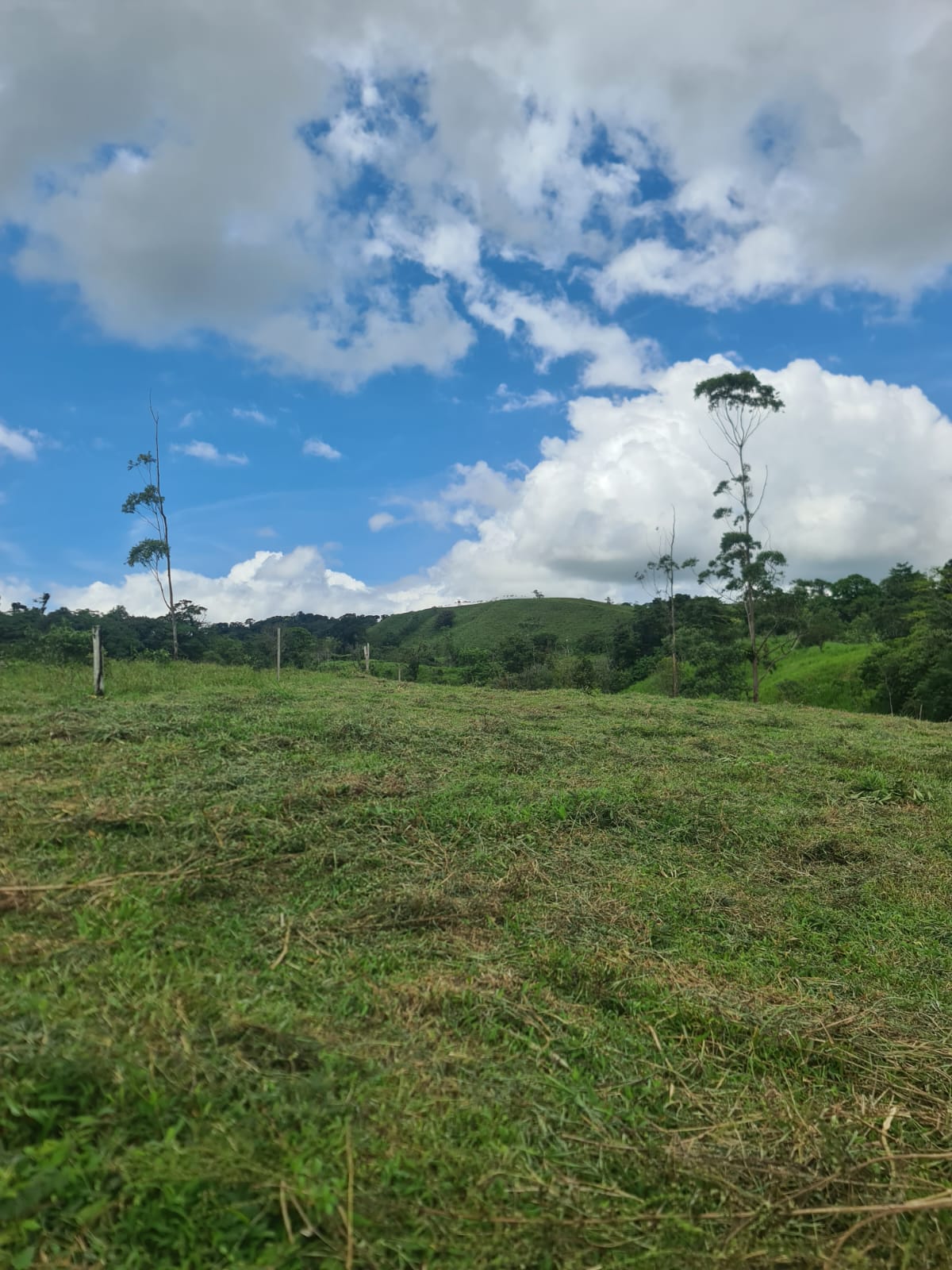 81,500 m2 (20.13 Acre) Lot with Lake and Volcano View in Nuevo Arenal photo 10