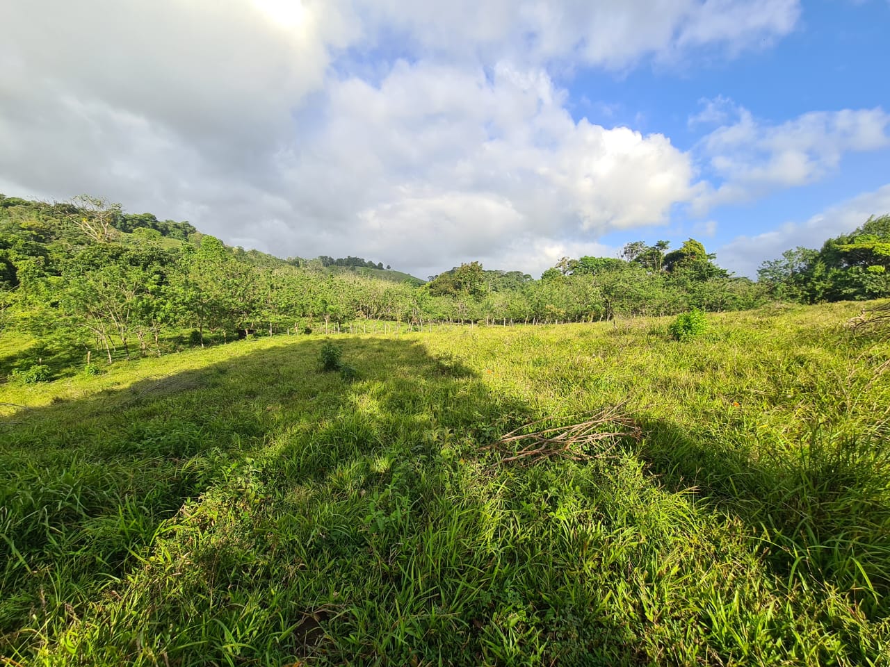 16-Hectare Farm with a Private Well and Views of Lake Arenal in Nuevo Arenal photo 32
