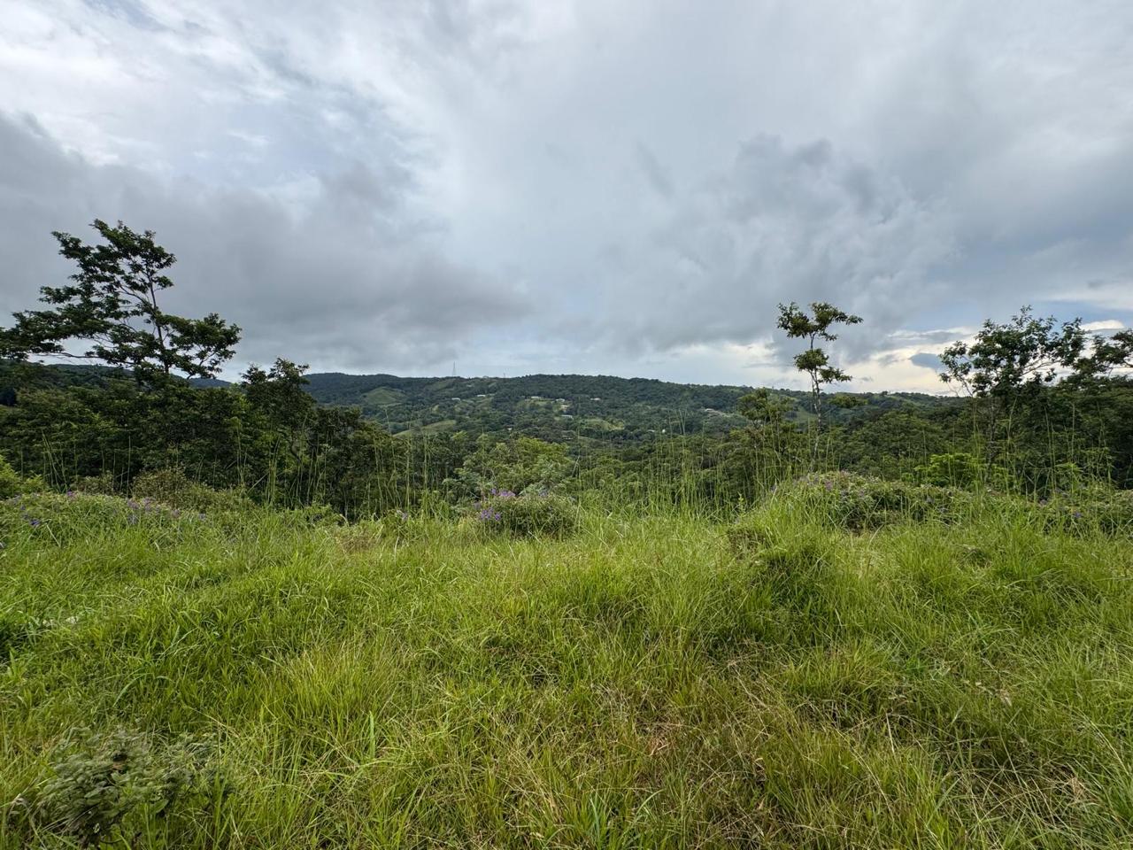 Expansive Lake-Access Property in Turtle Cove, El Aguacate photo 11