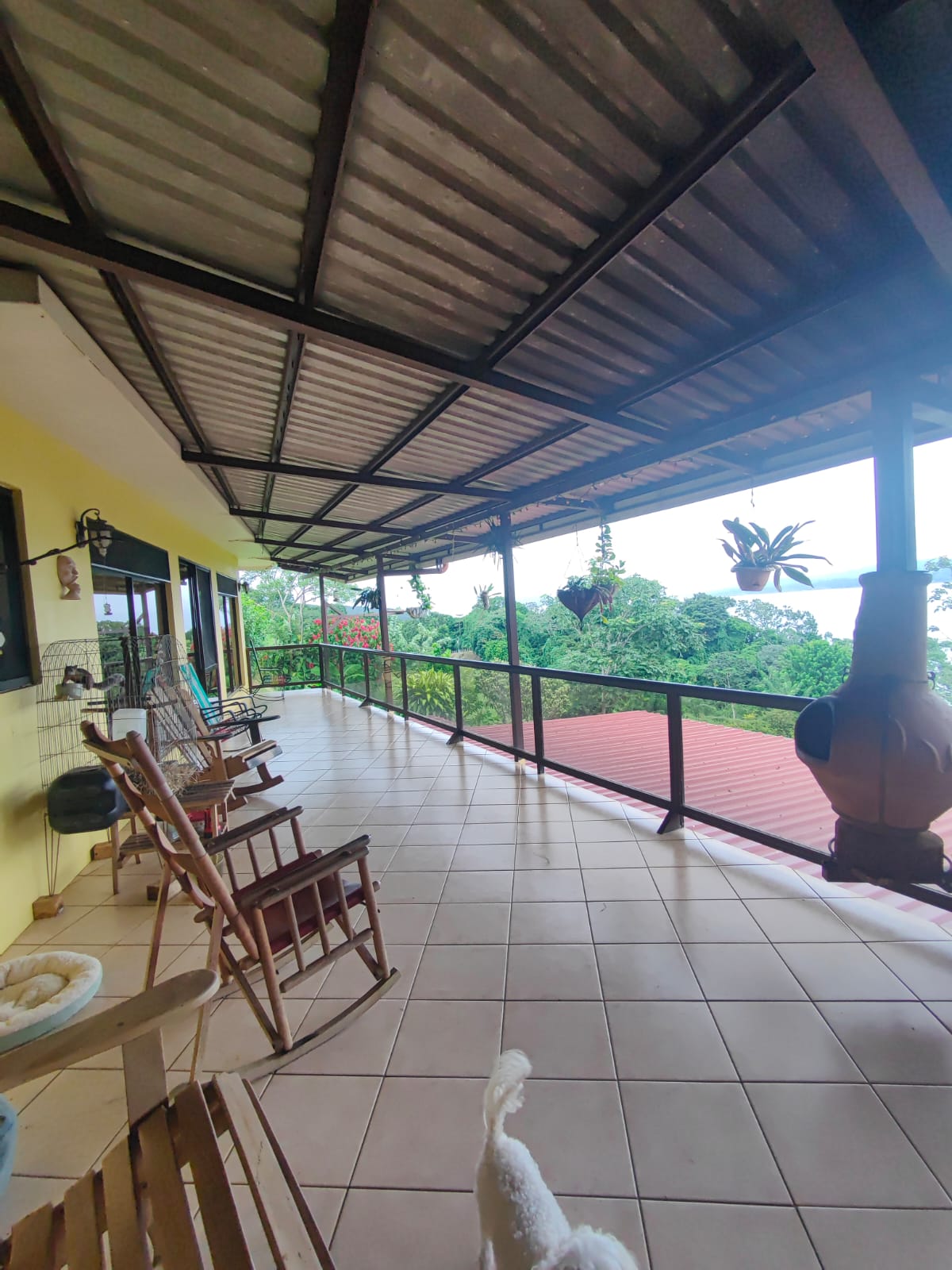 Sprawling, 2 BD/2 BA Home+Office+Apt+Stables+Green House in Tronadora photo 35