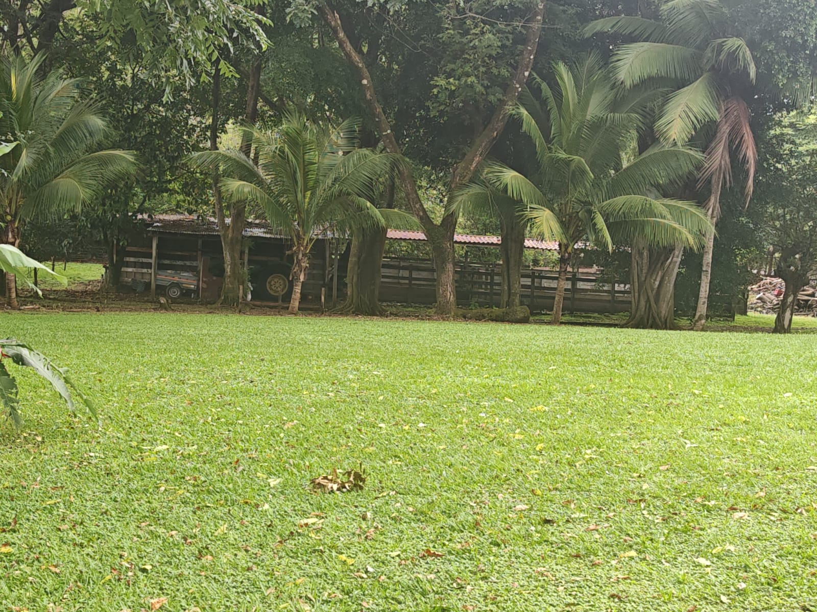 Hacienda Paraíso – Beautiful 107-hectare Property iw/ House in Solania photo 6