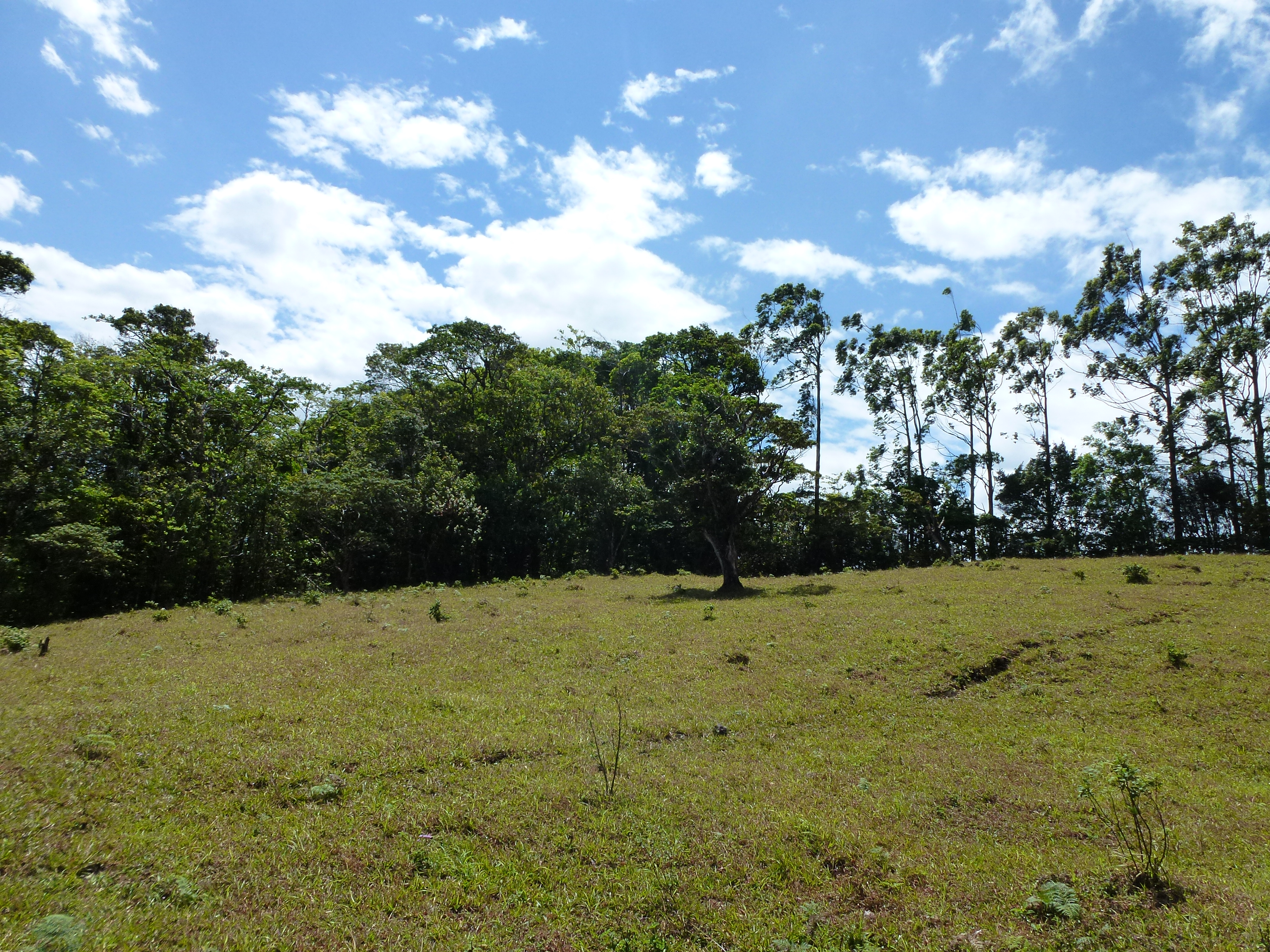 2.26 Acre Lot with Stunning Views Of Lake Arenal and Volcano in Nuevo Arenal  photo 6