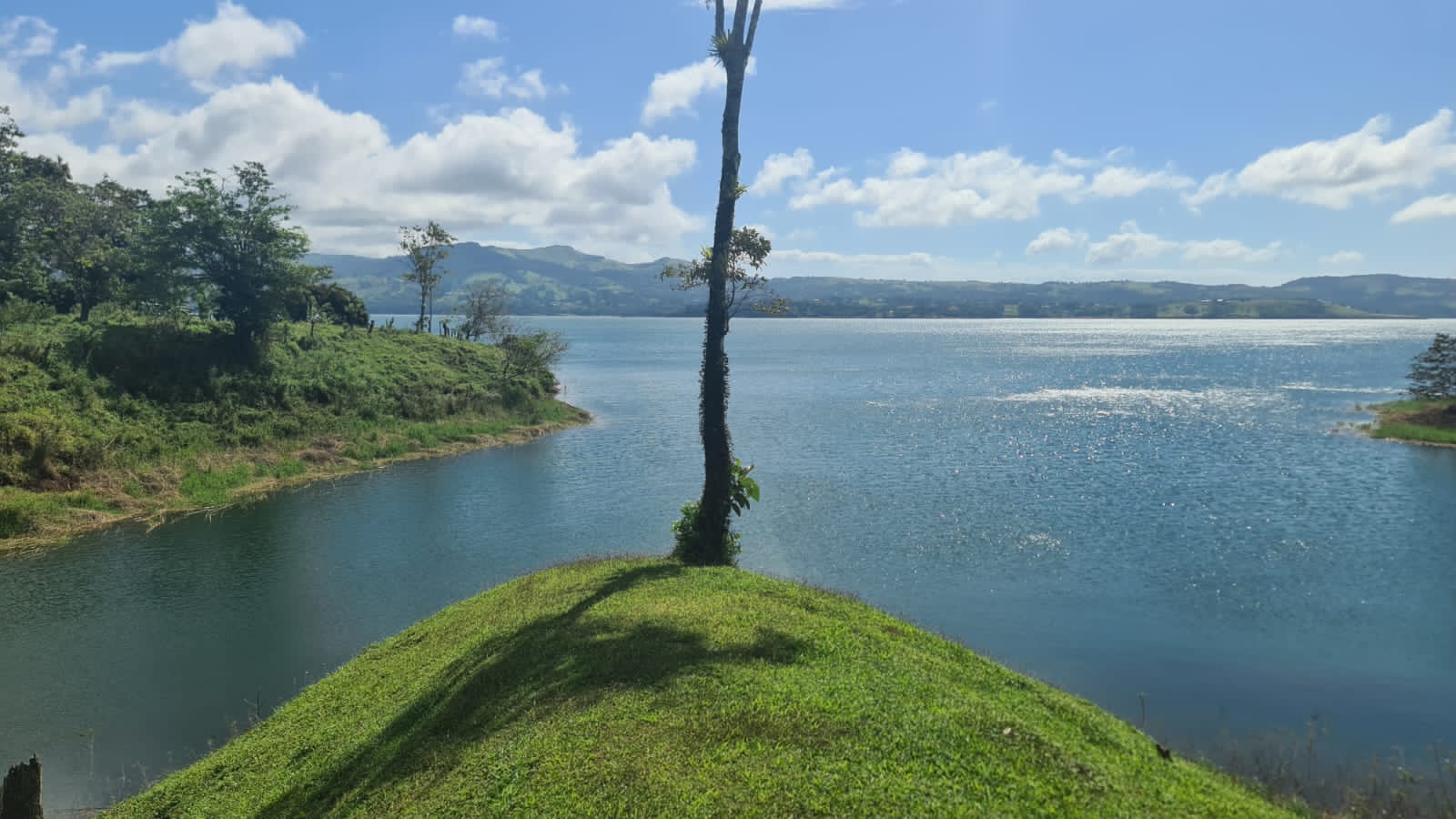 Spectacular Studio Apt + 2500 m2 Lot+ Lake Access Property in Nuevo Arenal photo 14