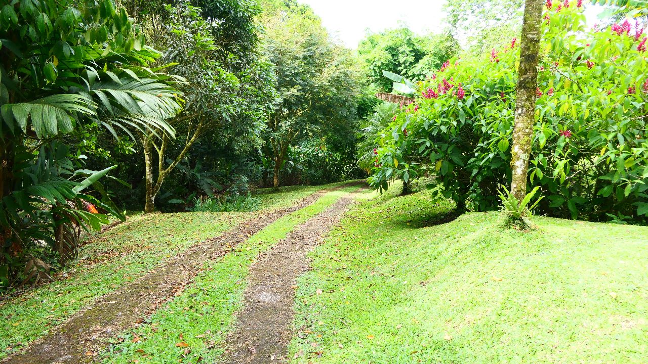 A very unique 1 Bedroom/1 Bathroom Boat House with lake access photo 21