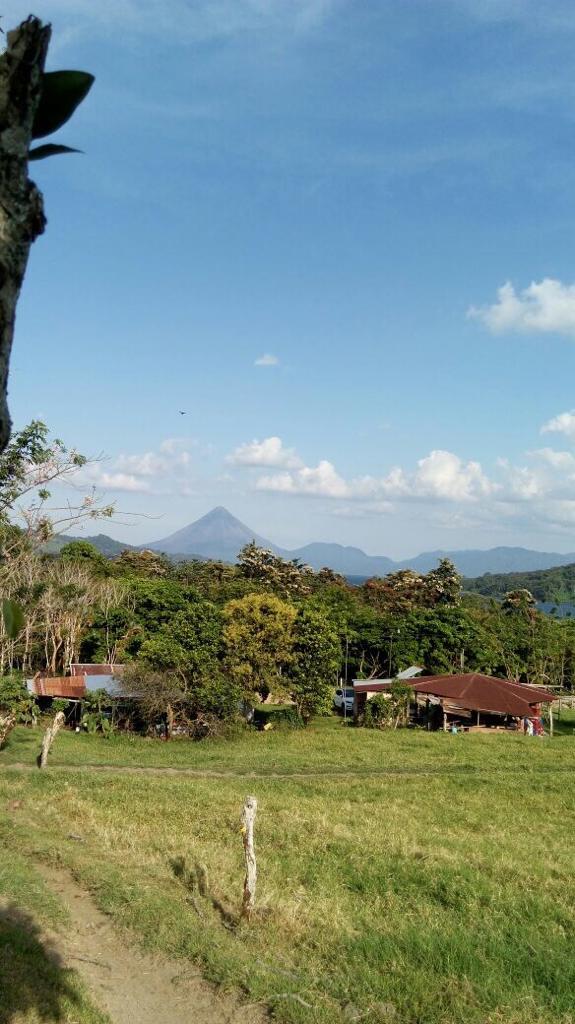87.731 m2 Farm with Spectacular Lake and Volcano Views in Viejo Arenal photo 6