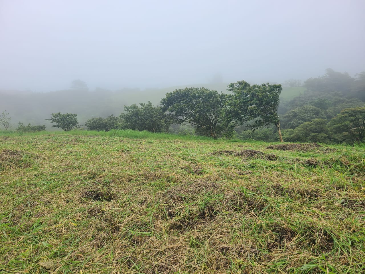 Stunning 12.59-Acre Lot with Volcano Views in Nuevo Arenal  photo 13