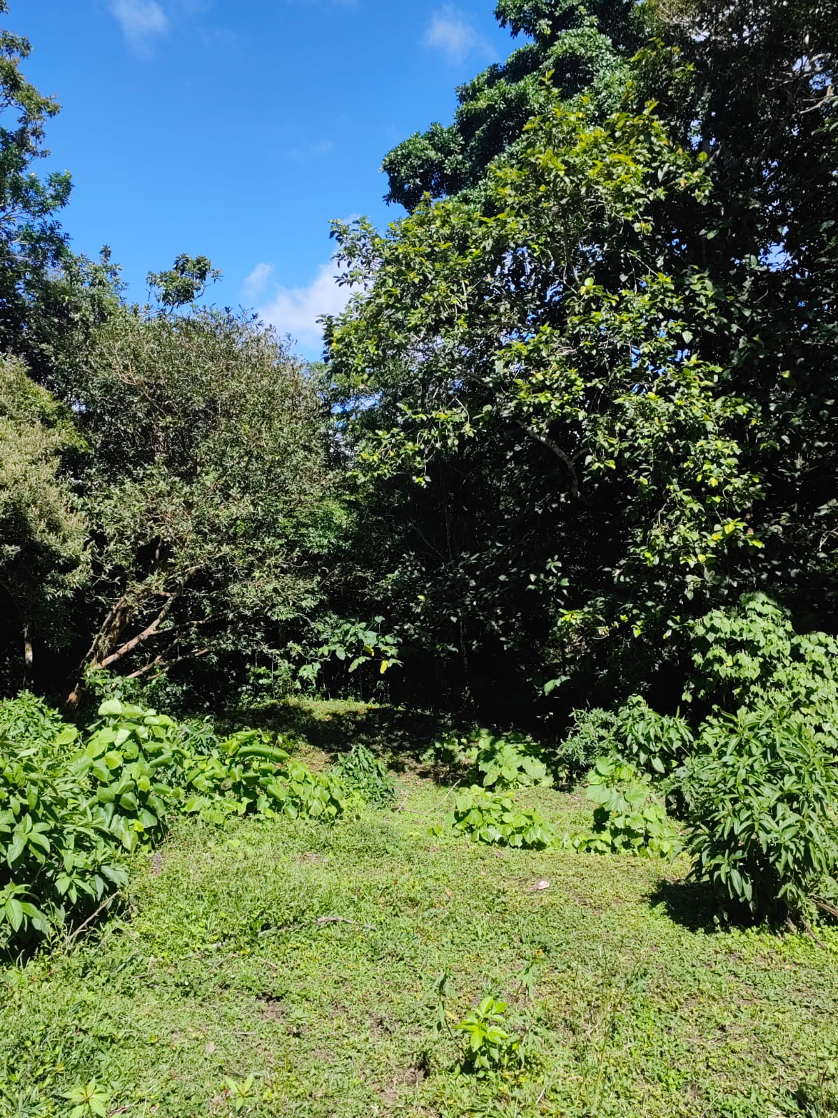 Large Lake view lot of 12,159 square meters in San Luis, Tilarán  photo 12