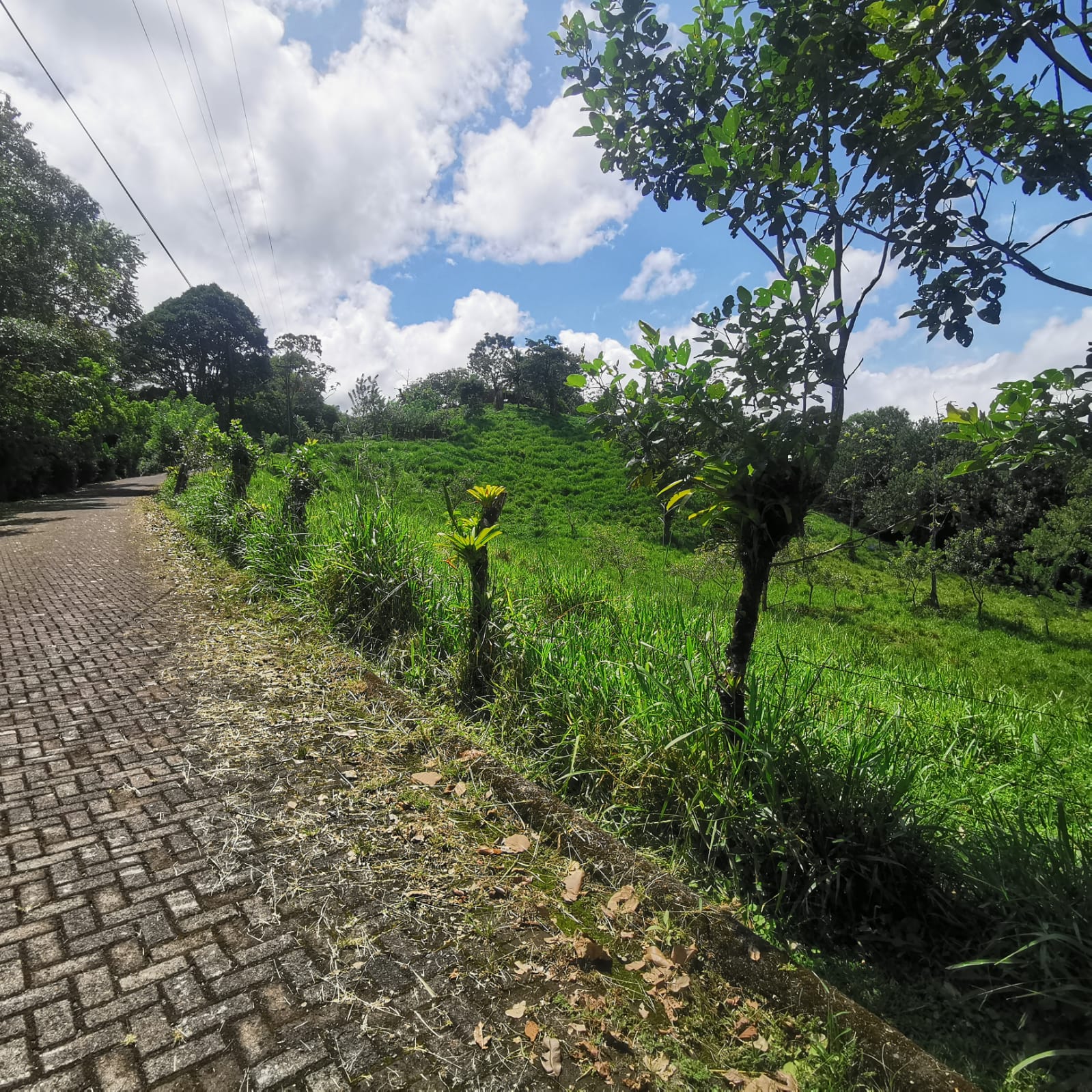 Exceptional Lake and Volcano View Property in El Castillo, San Carlos  photo 13