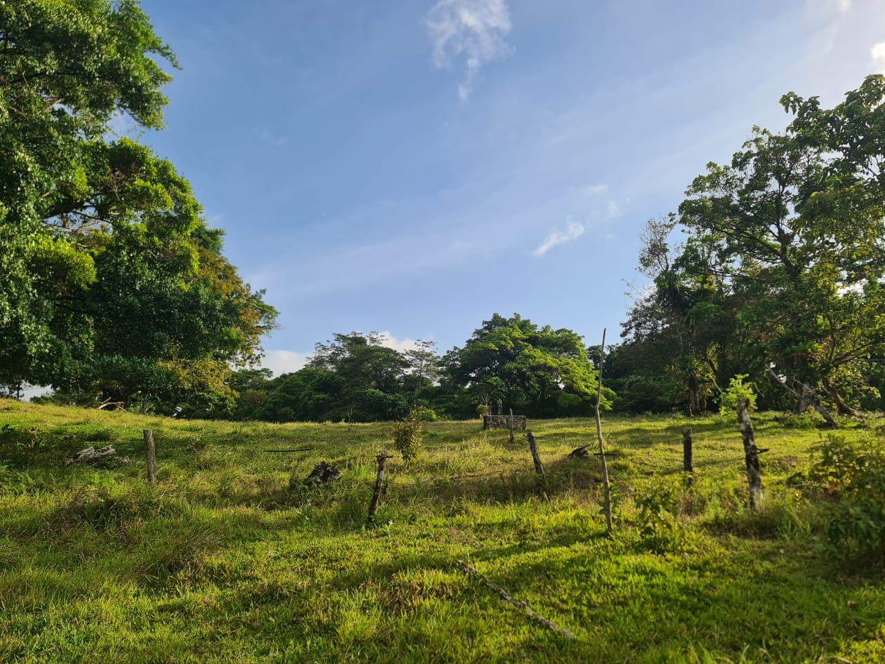 16-Hectare Farm with a Private Well and Views of Lake Arenal in Nuevo Arenal photo 24