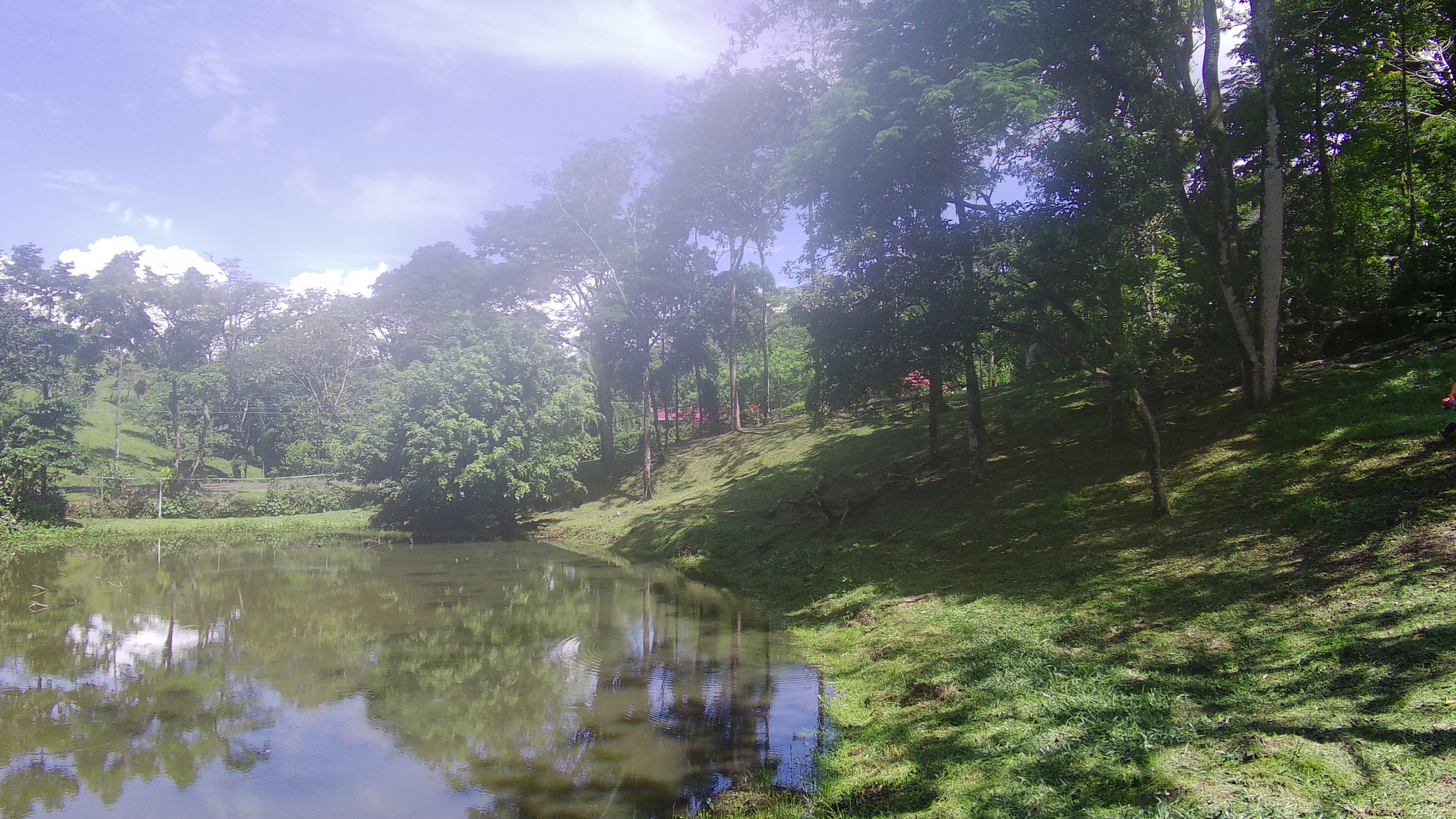 Beautiful Home 2BD 1BA in a 19424.9 m2 (4.8 Acre) Lot w/ Private Spring  photo 27