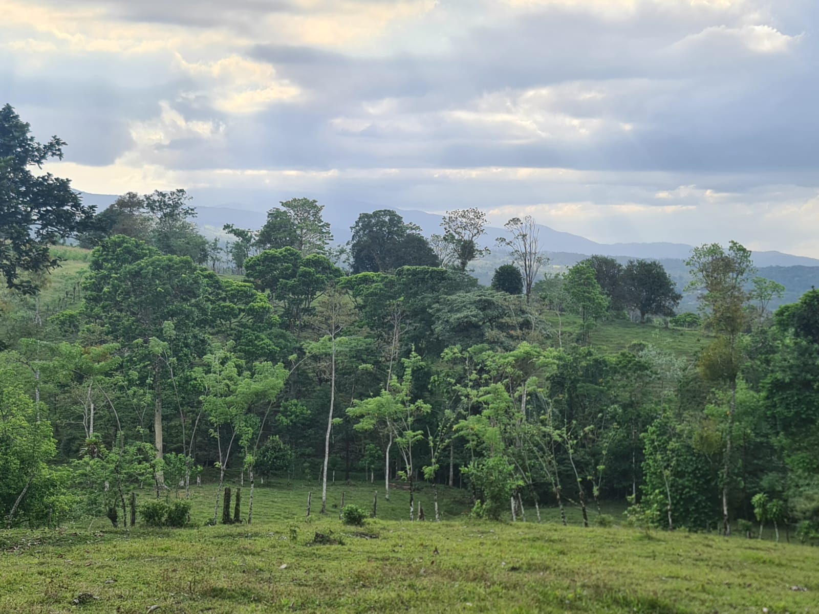 Gorgeous 50,372 m2 (12,4 acre) Farm In Cabanga, Guatuso photo 12